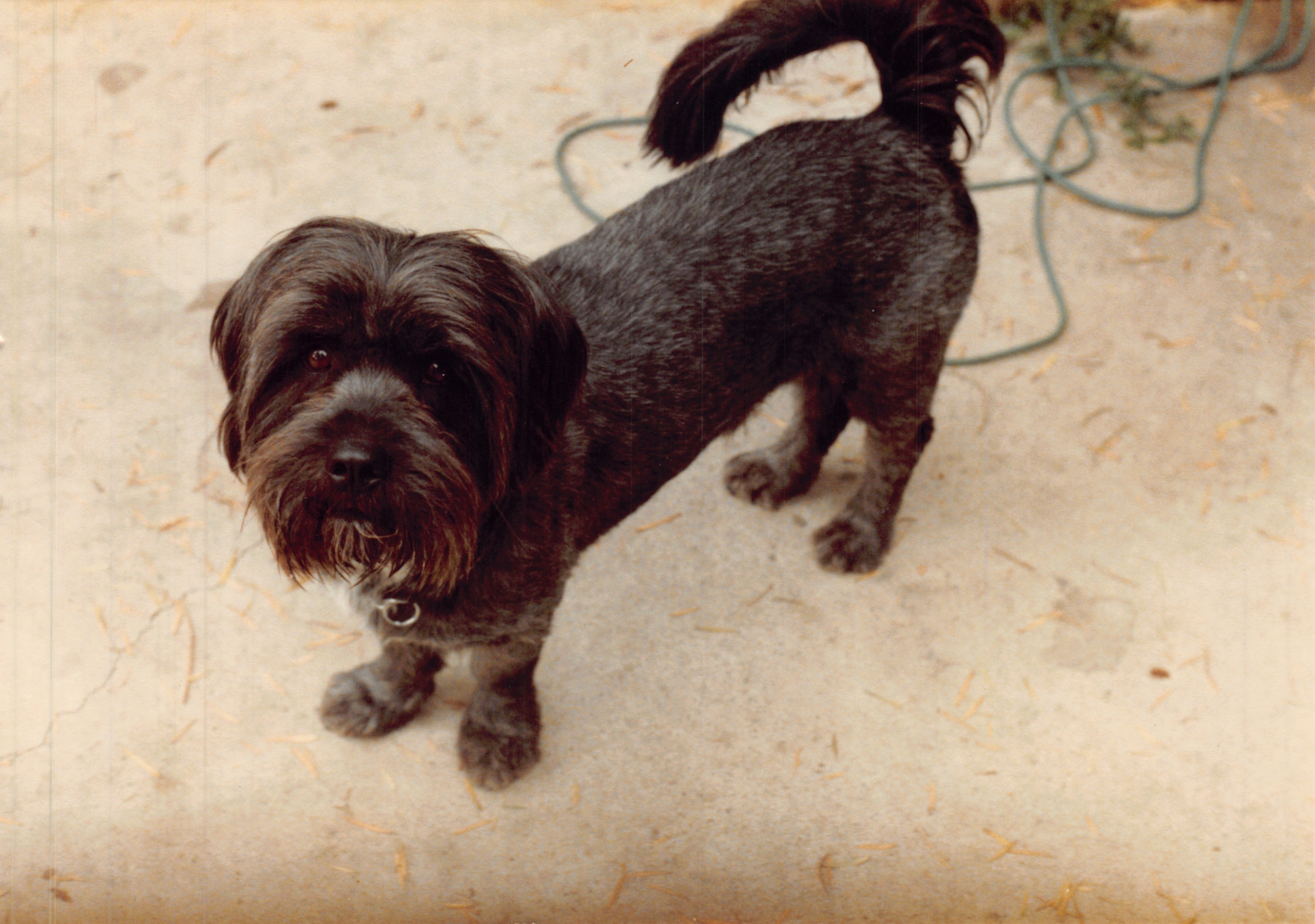 1985a_612.jpg