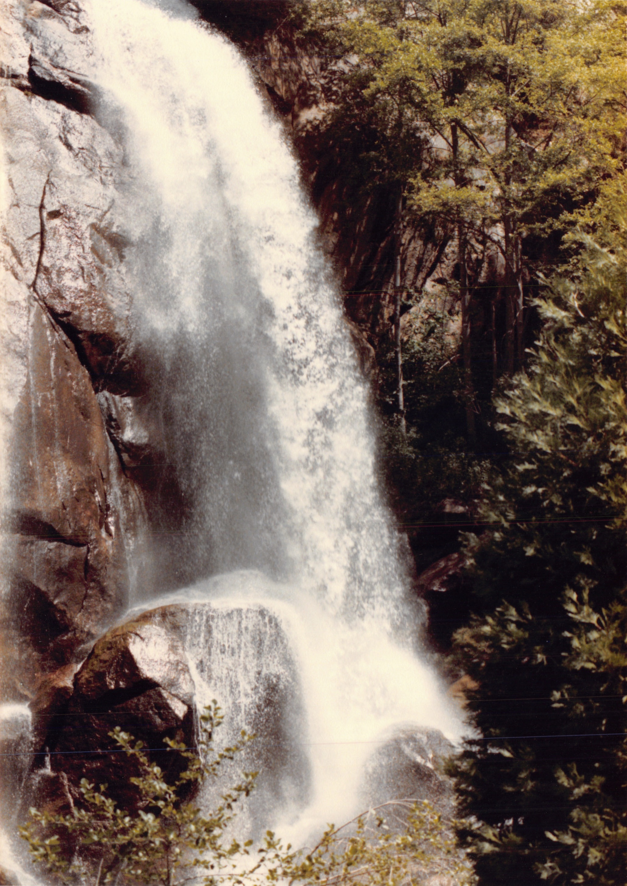 1985b_034.jpg