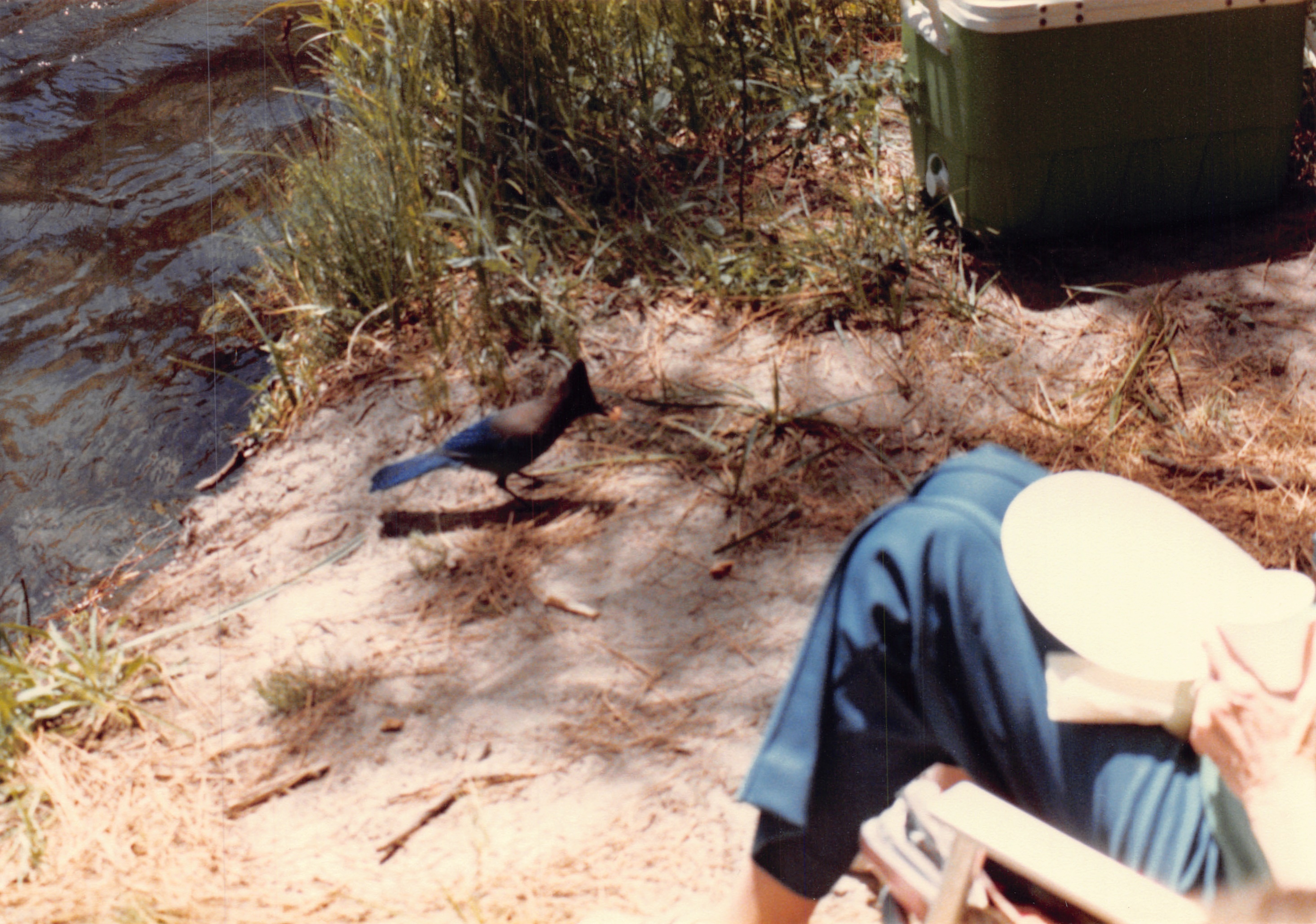 1985b_039.jpg