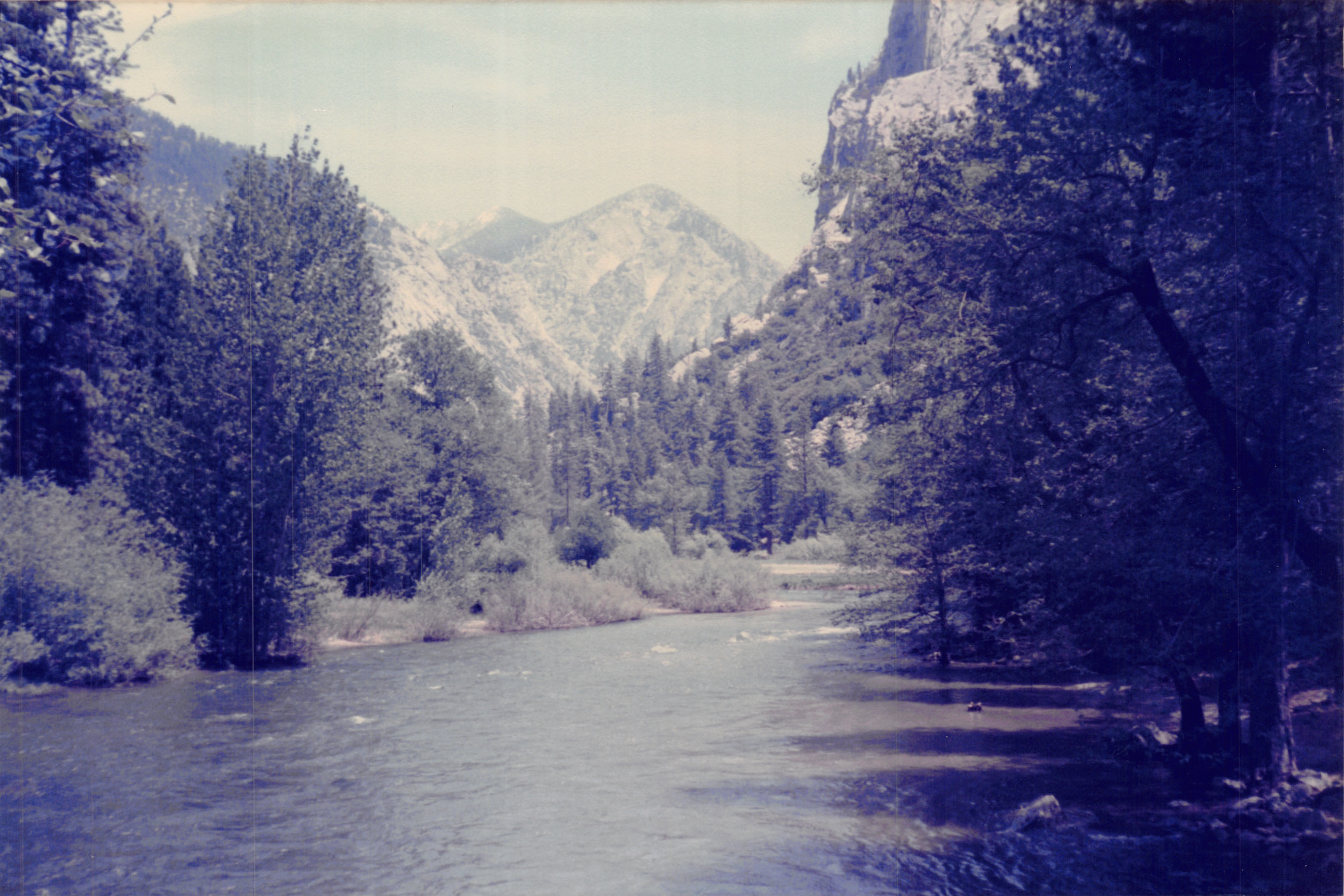 1985b_045.jpg