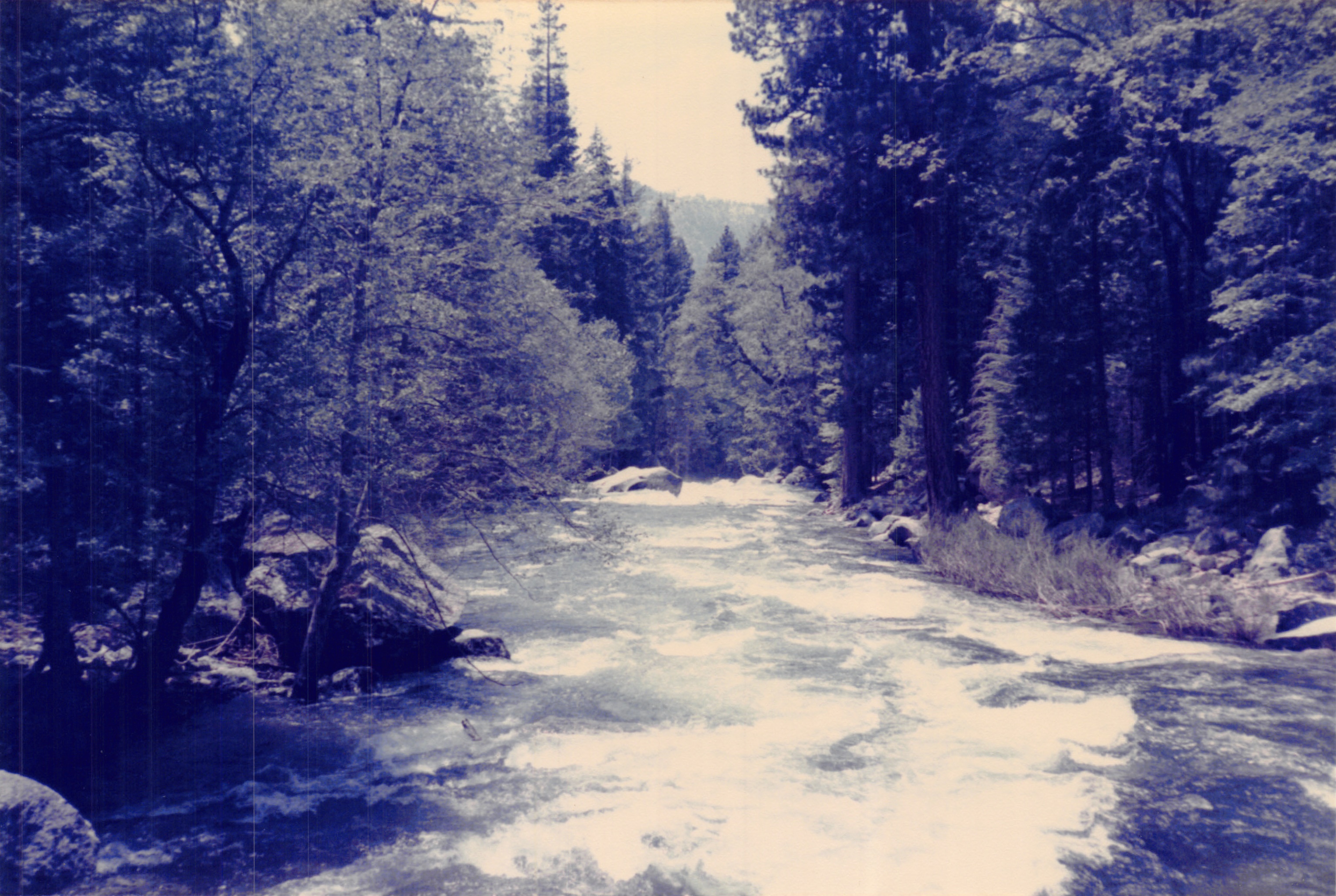 1985b_046.jpg