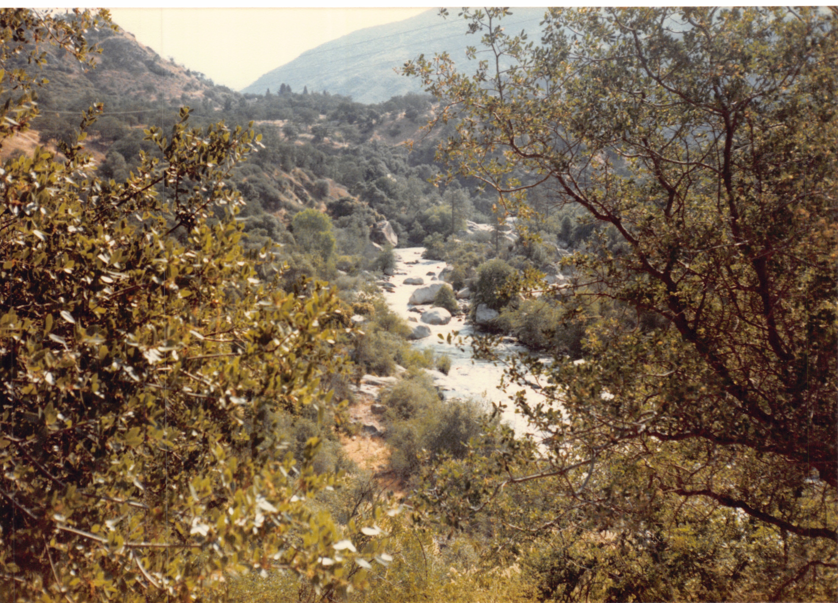 1985b_047.jpg