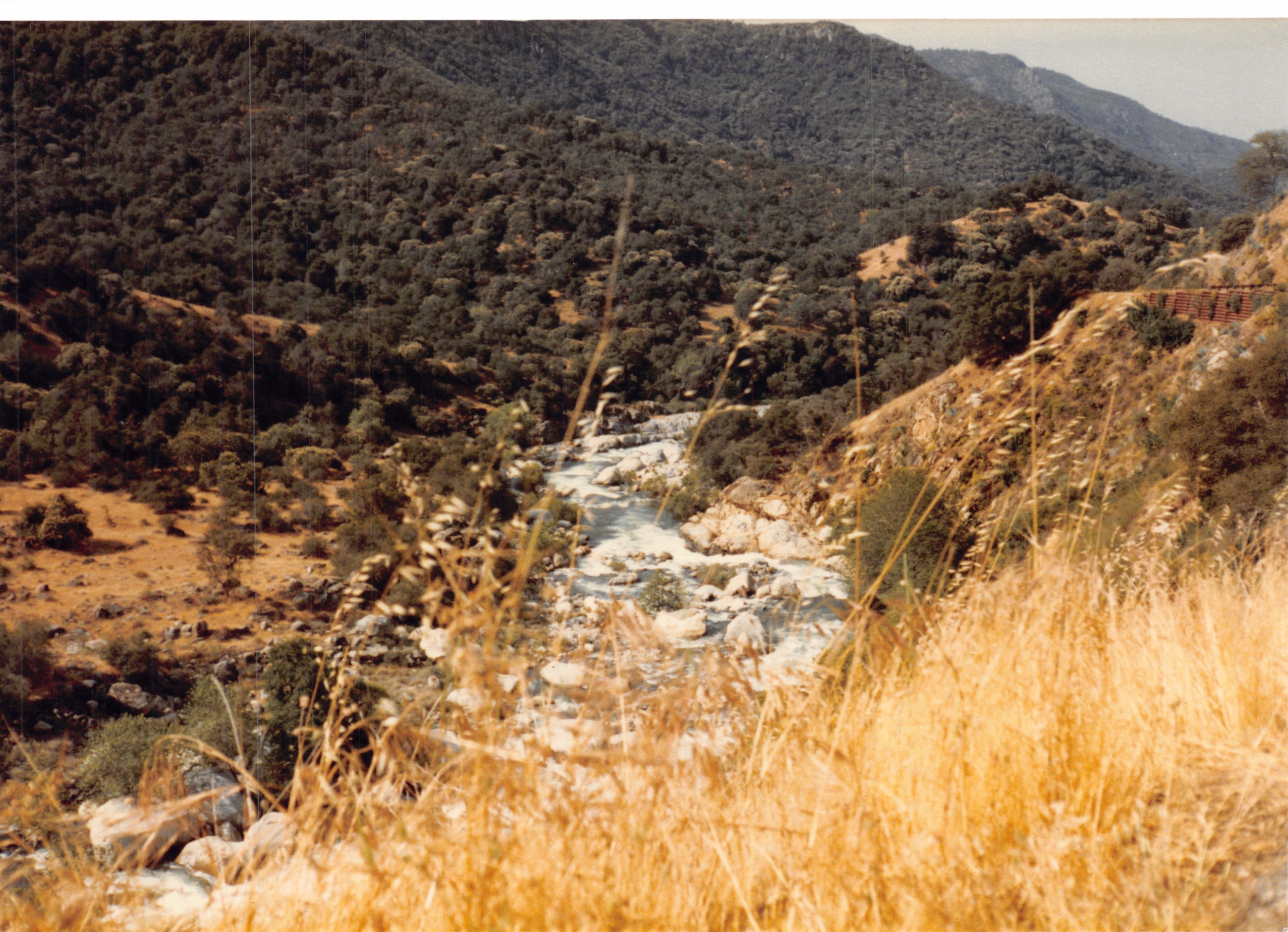 1985b_049.jpg