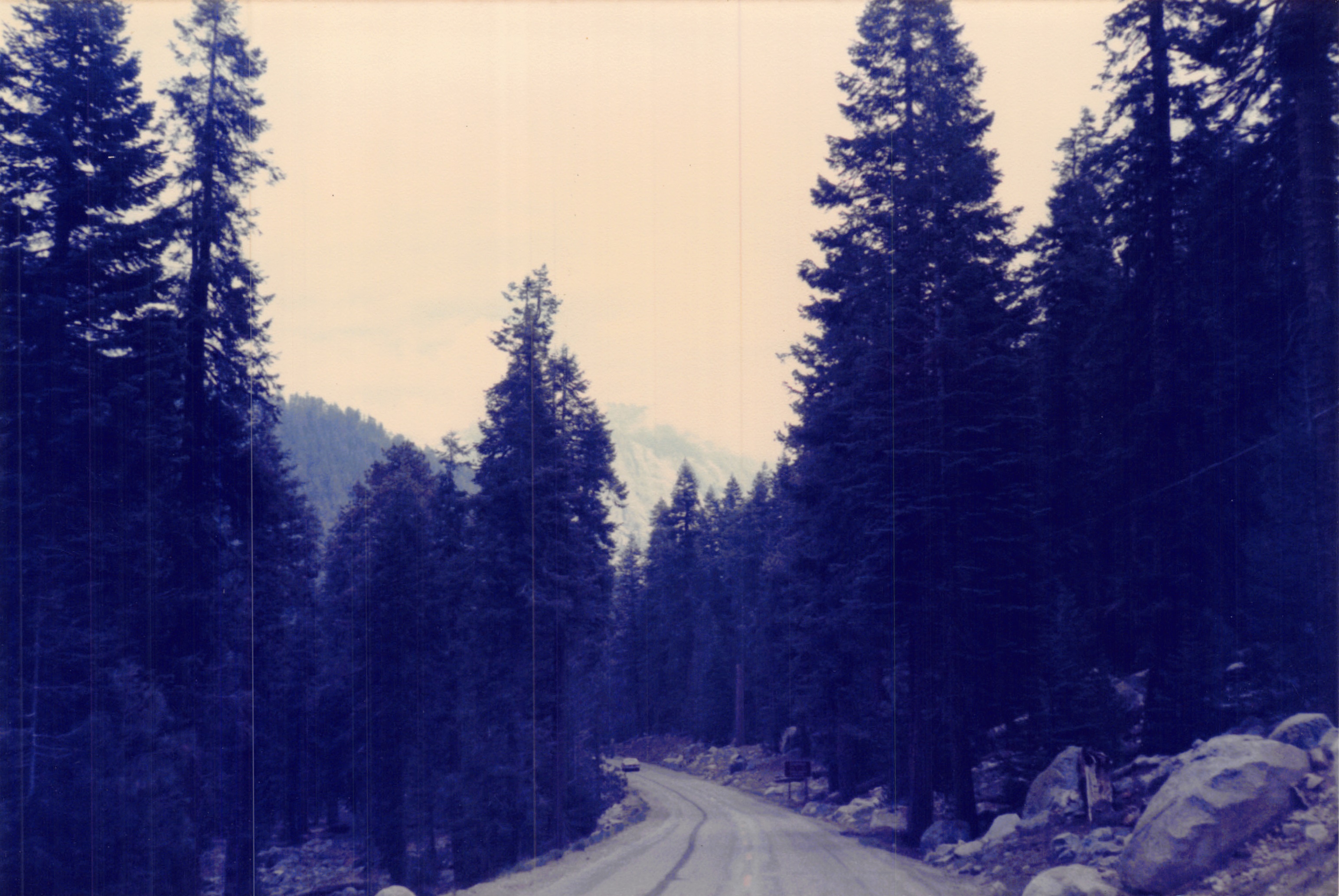 1985b_051.jpg