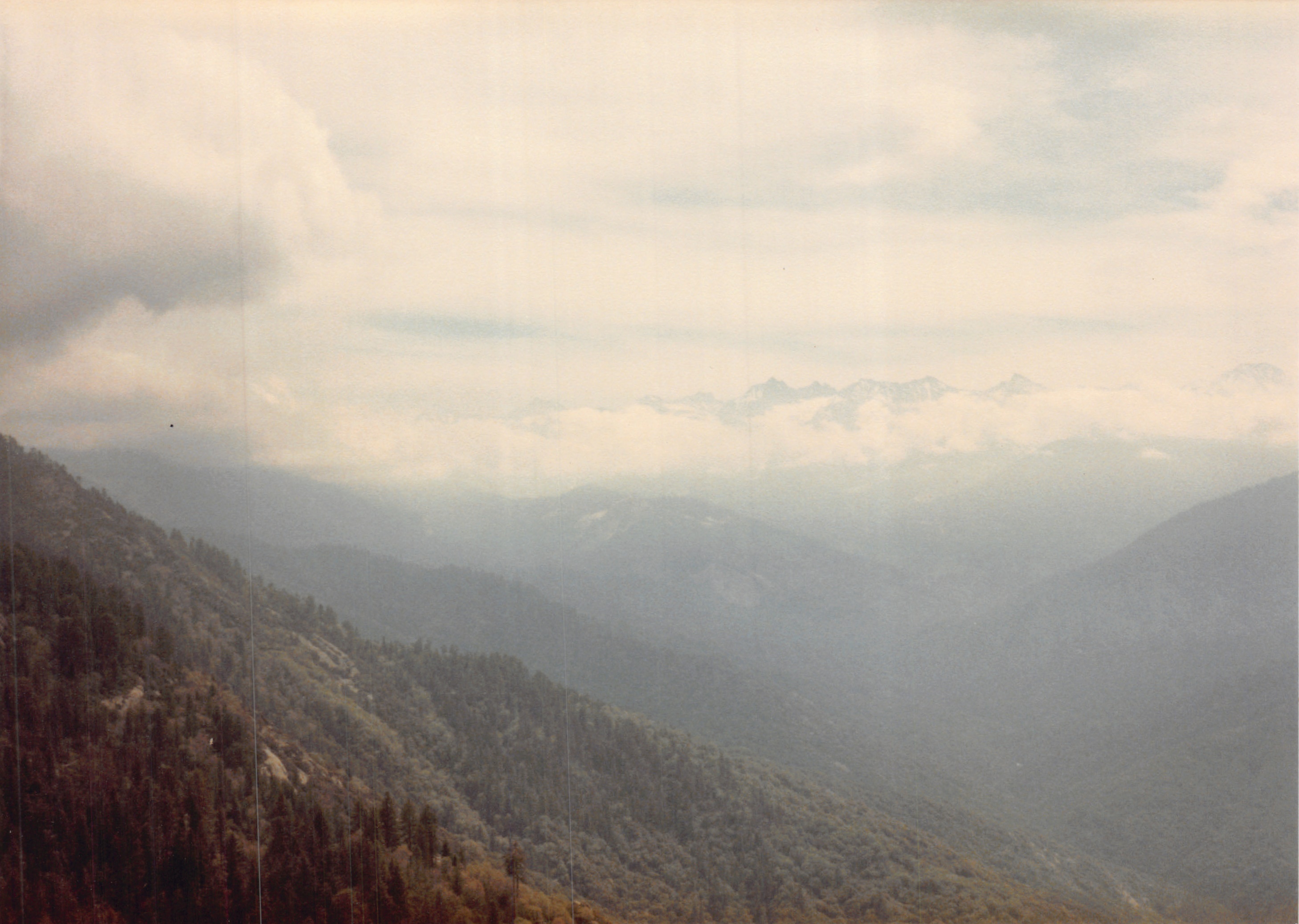 1985b_055.jpg
