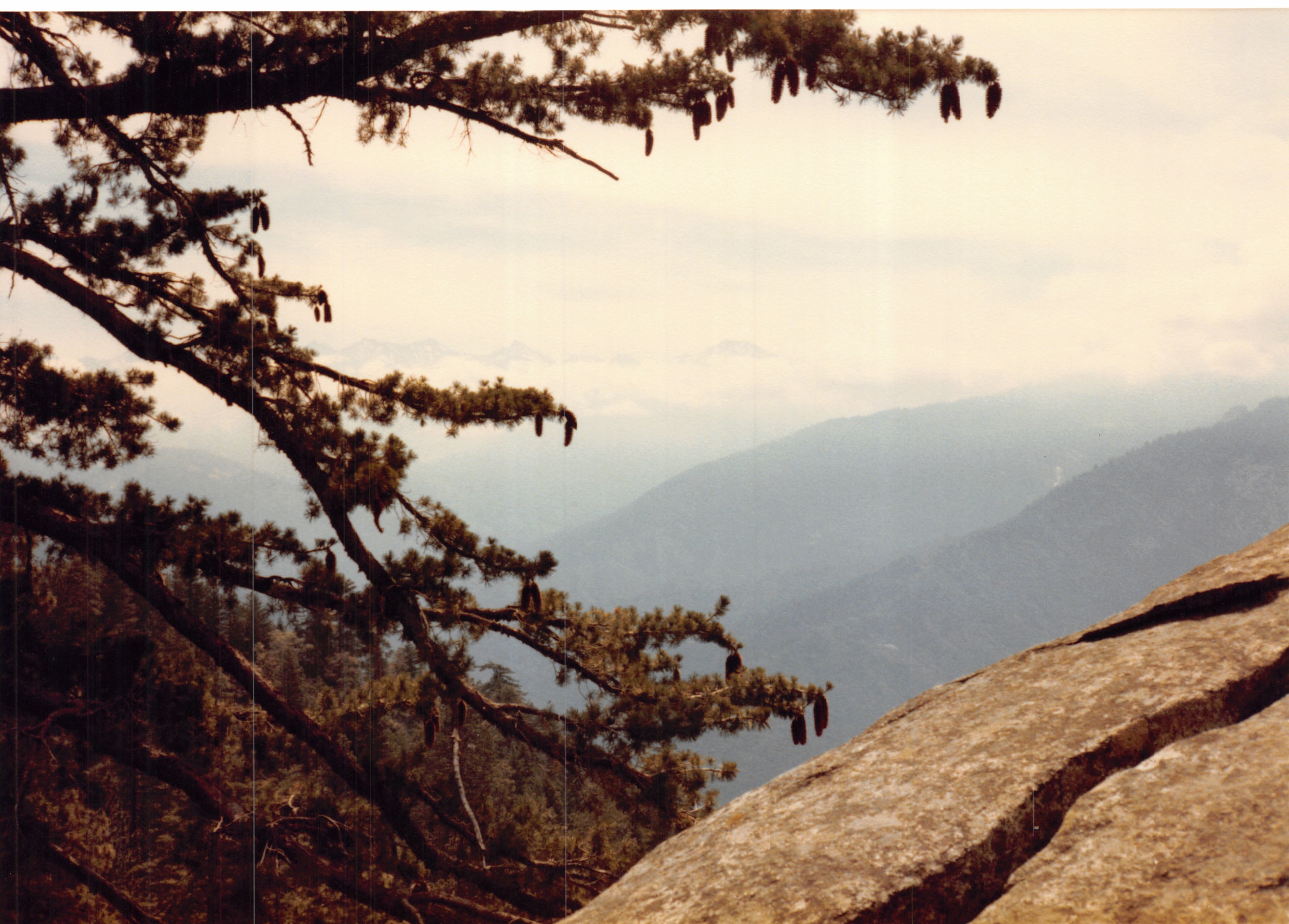 1985b_056.jpg