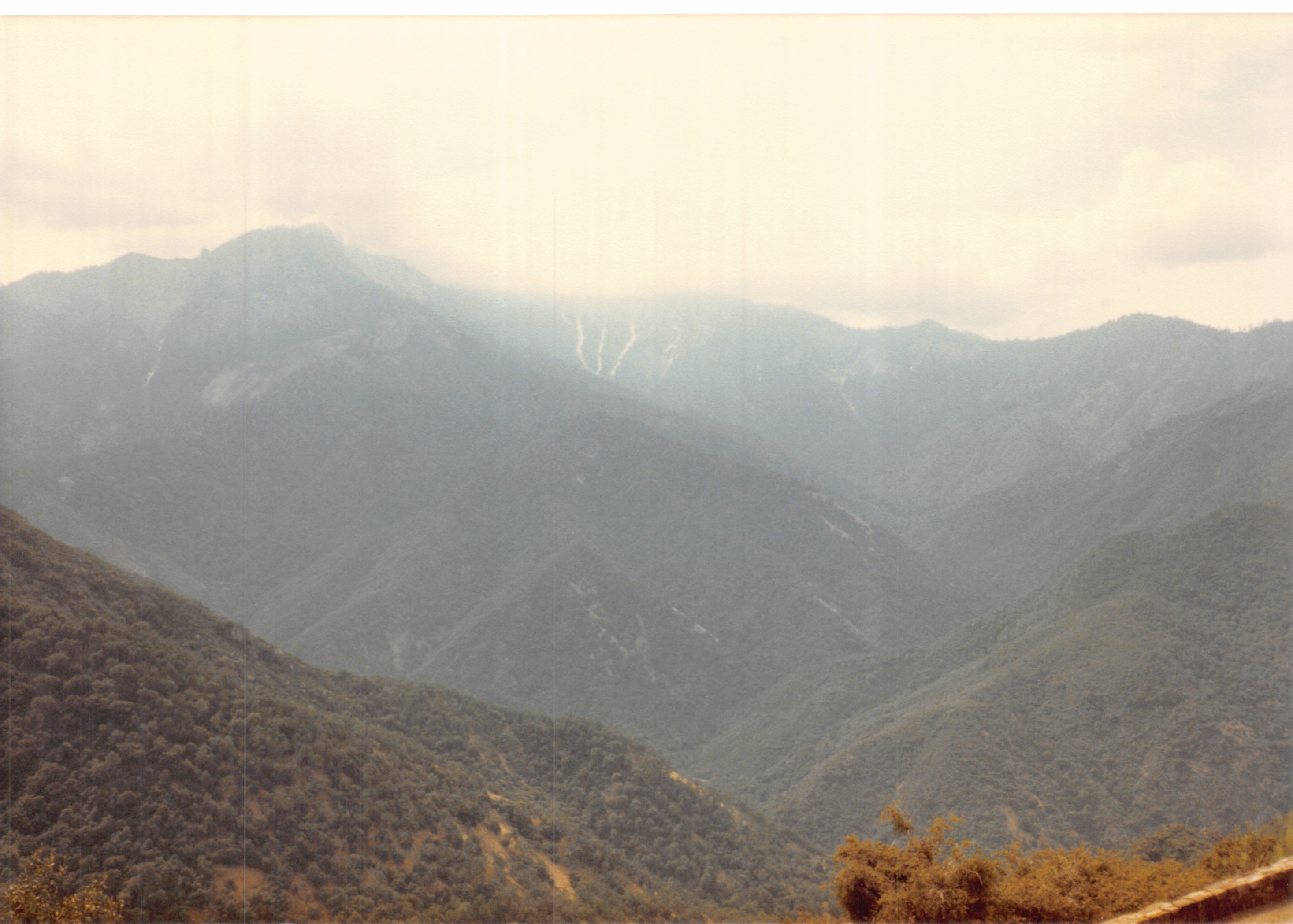 1985b_058.jpg