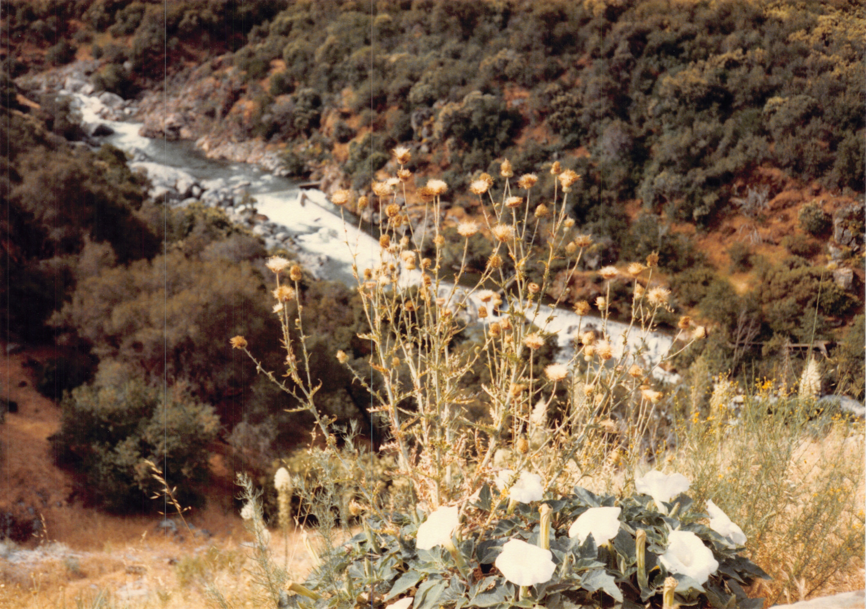 1985b_059.jpg