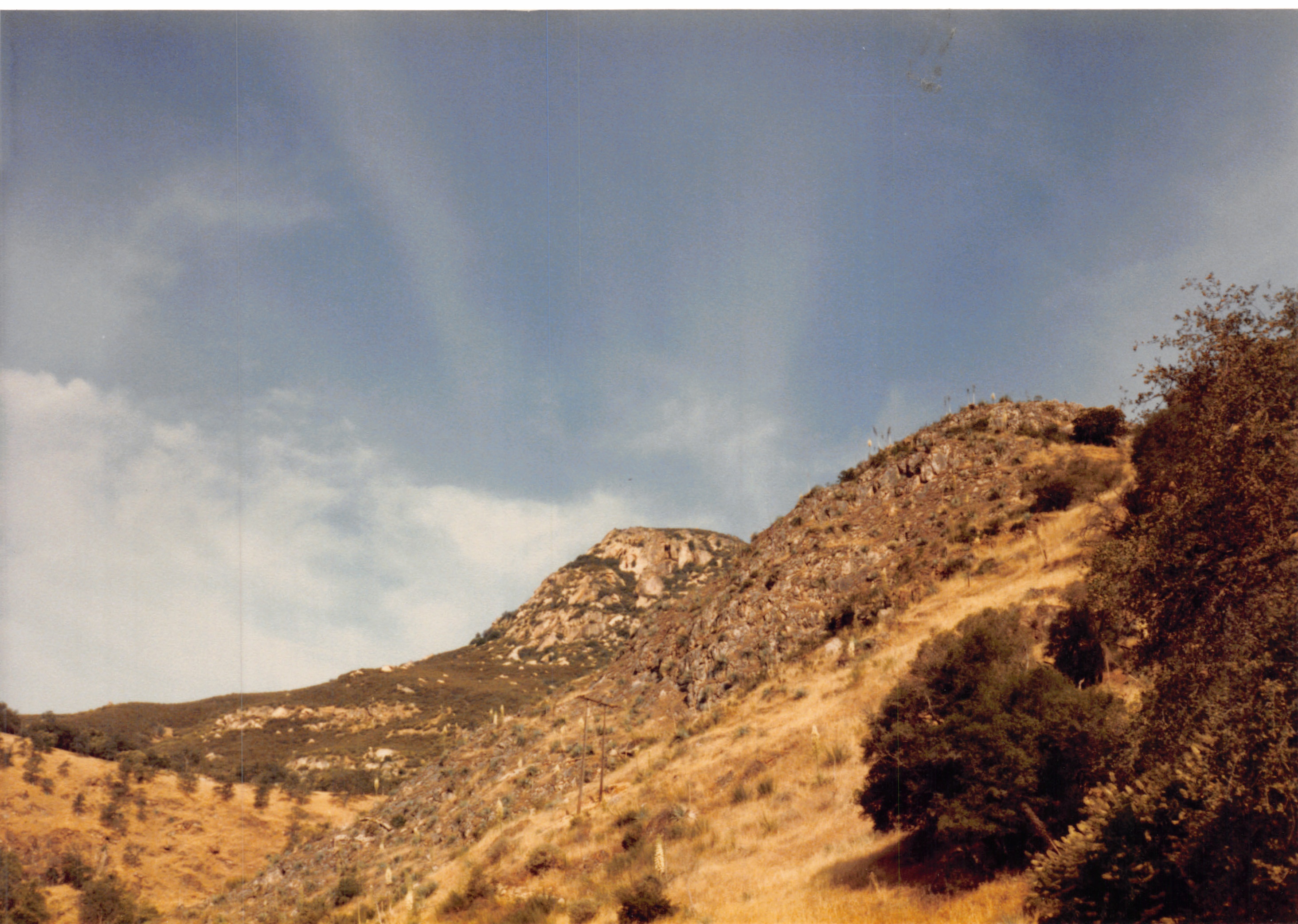 1985b_060.jpg