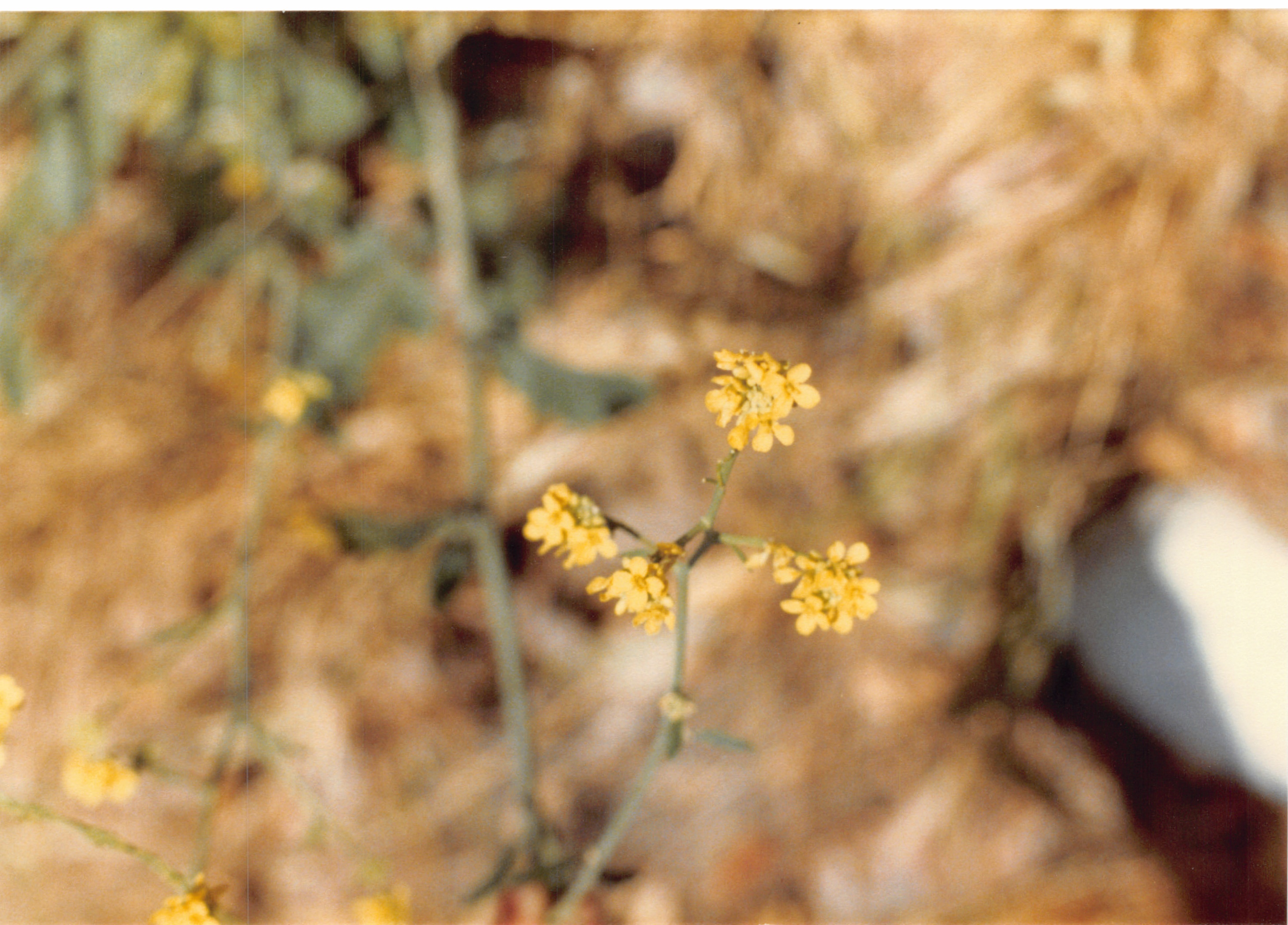 1985b_061.jpg