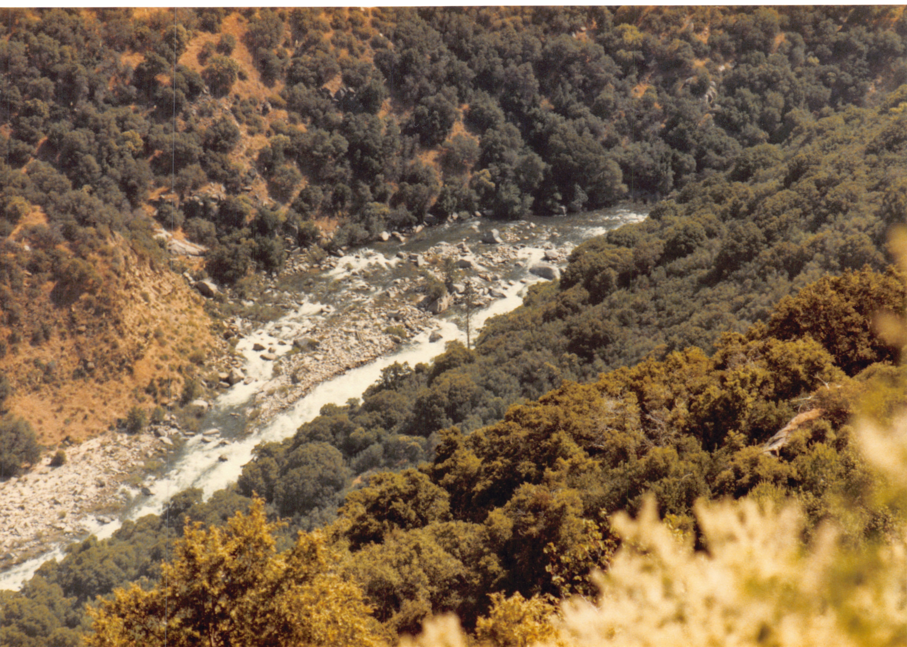 1985b_062.jpg