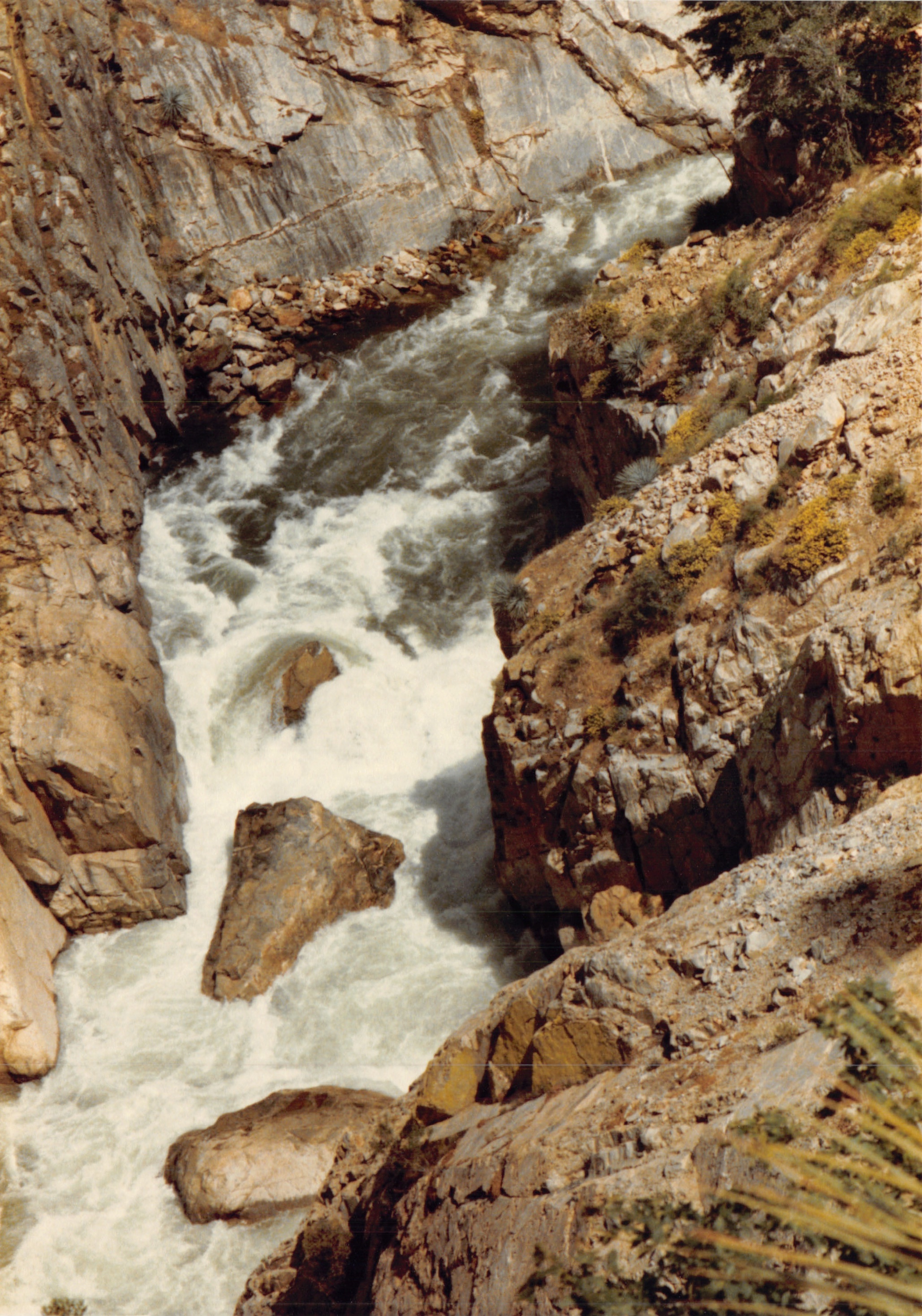 1985b_066.jpg