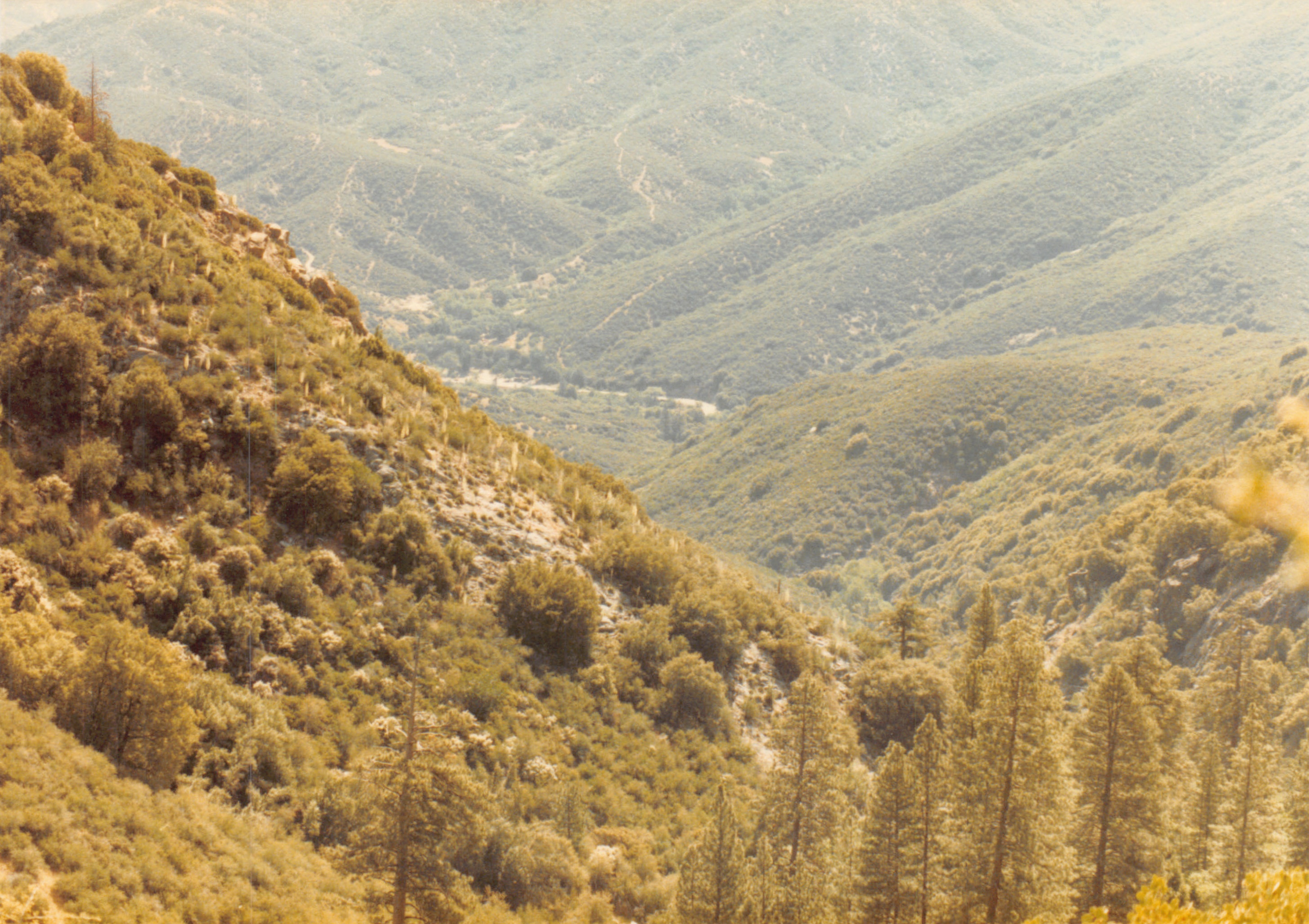 1985b_069.jpg