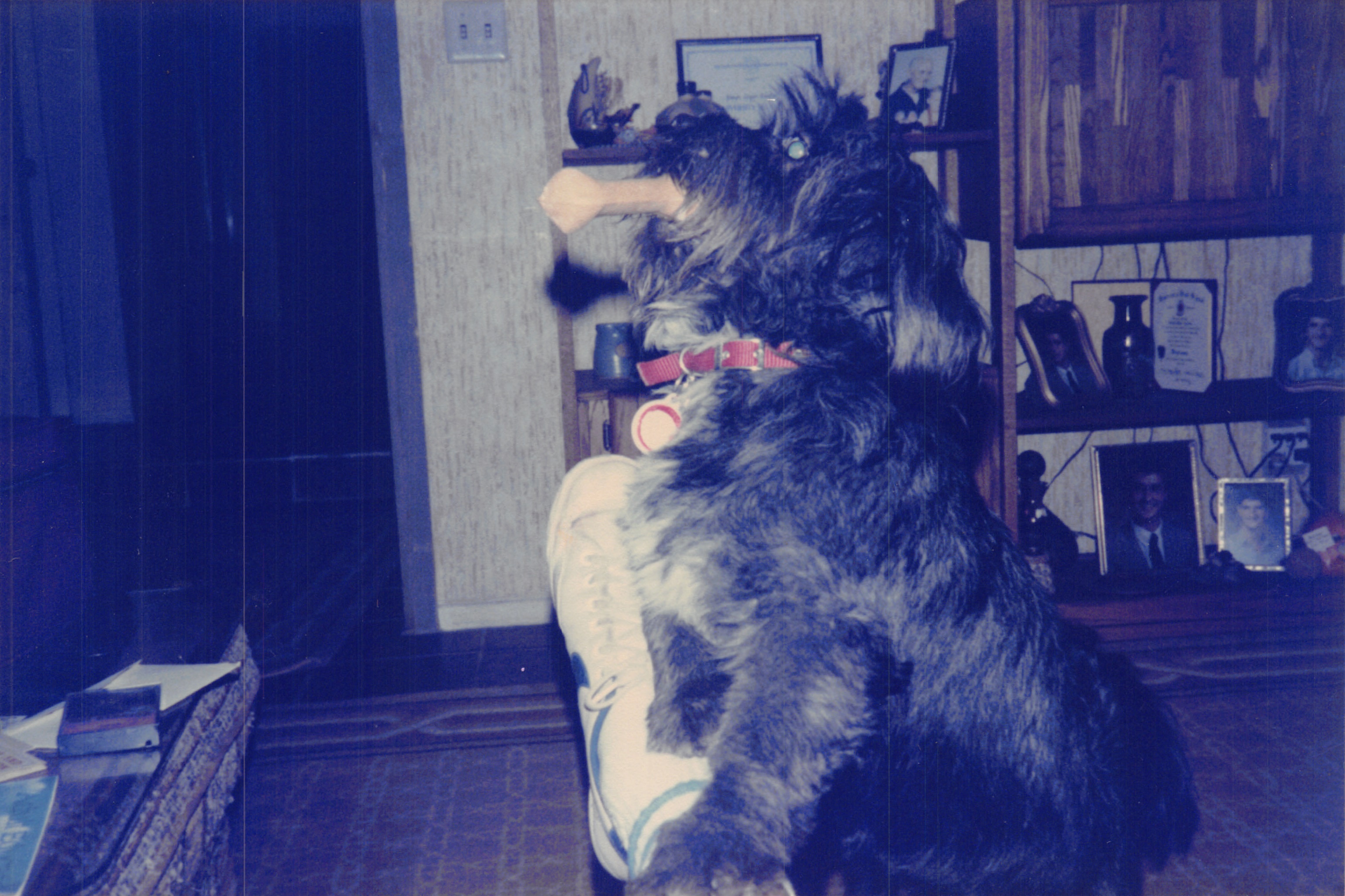 1985b_076.jpg