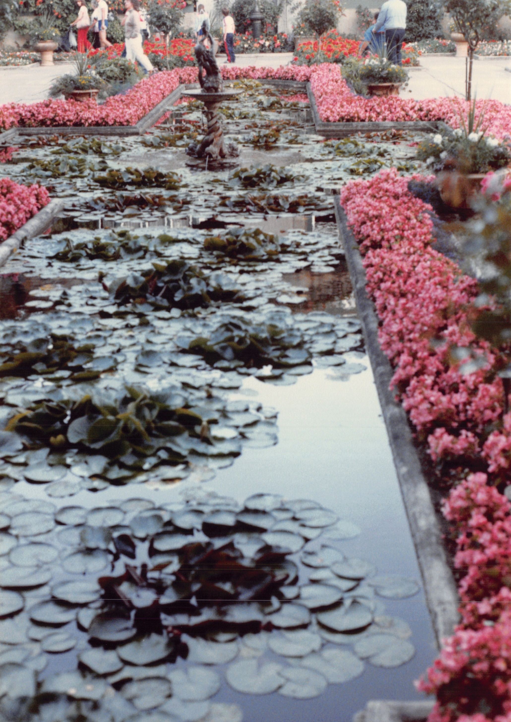 1985b_106.jpg