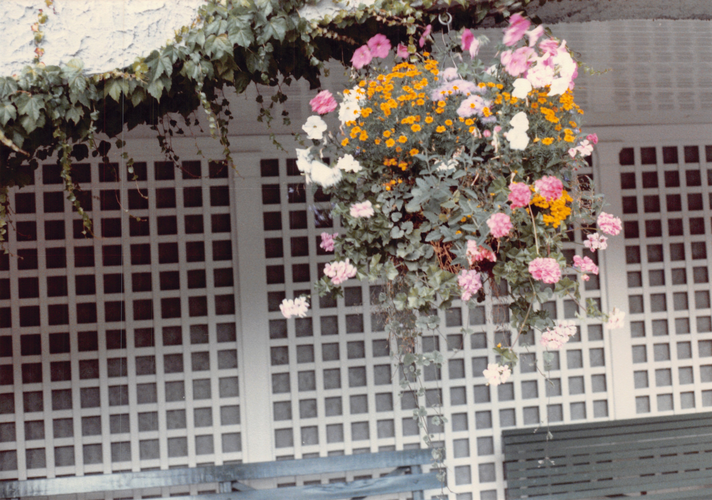 1985b_109.jpg
