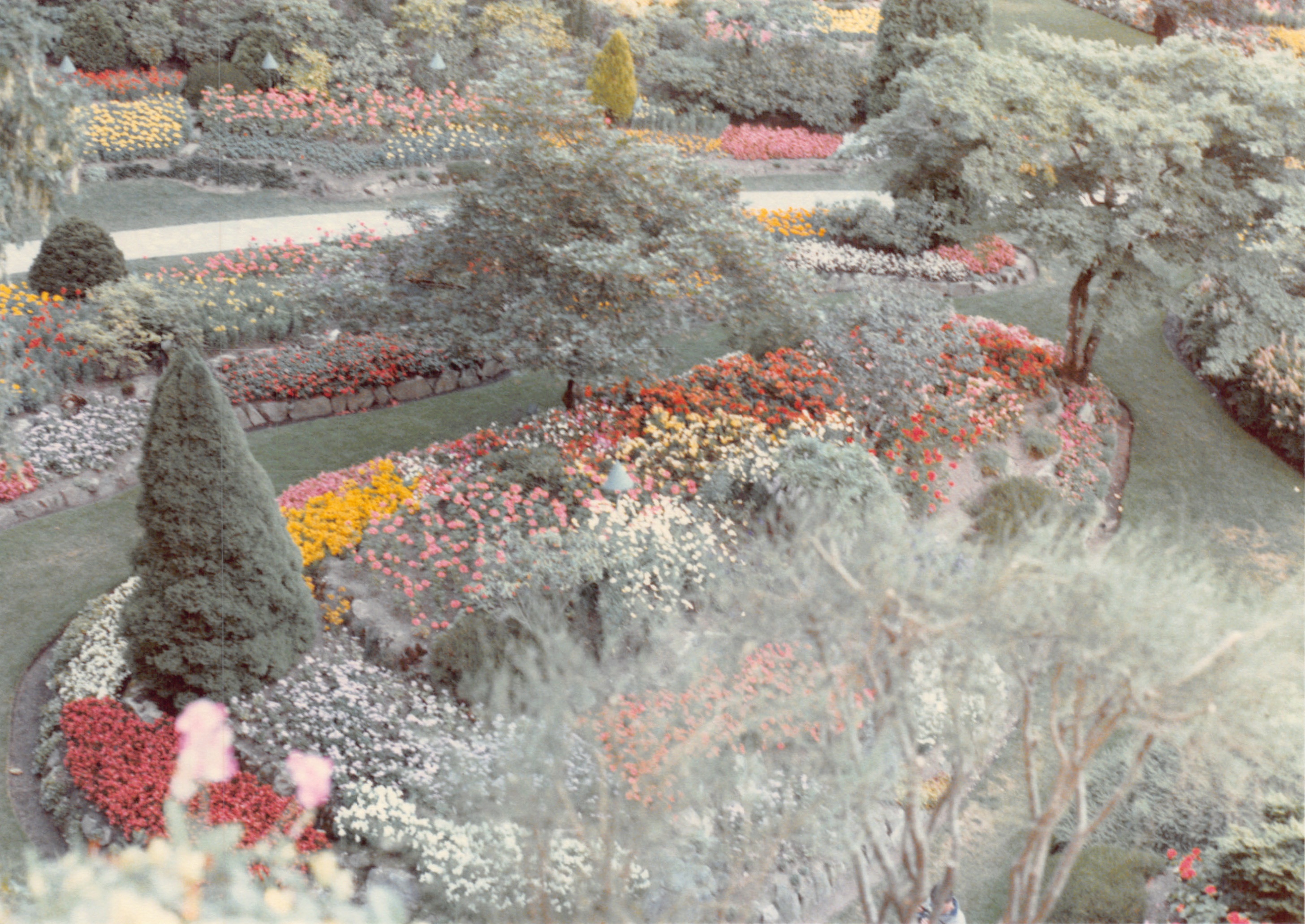 1985b_110.jpg
