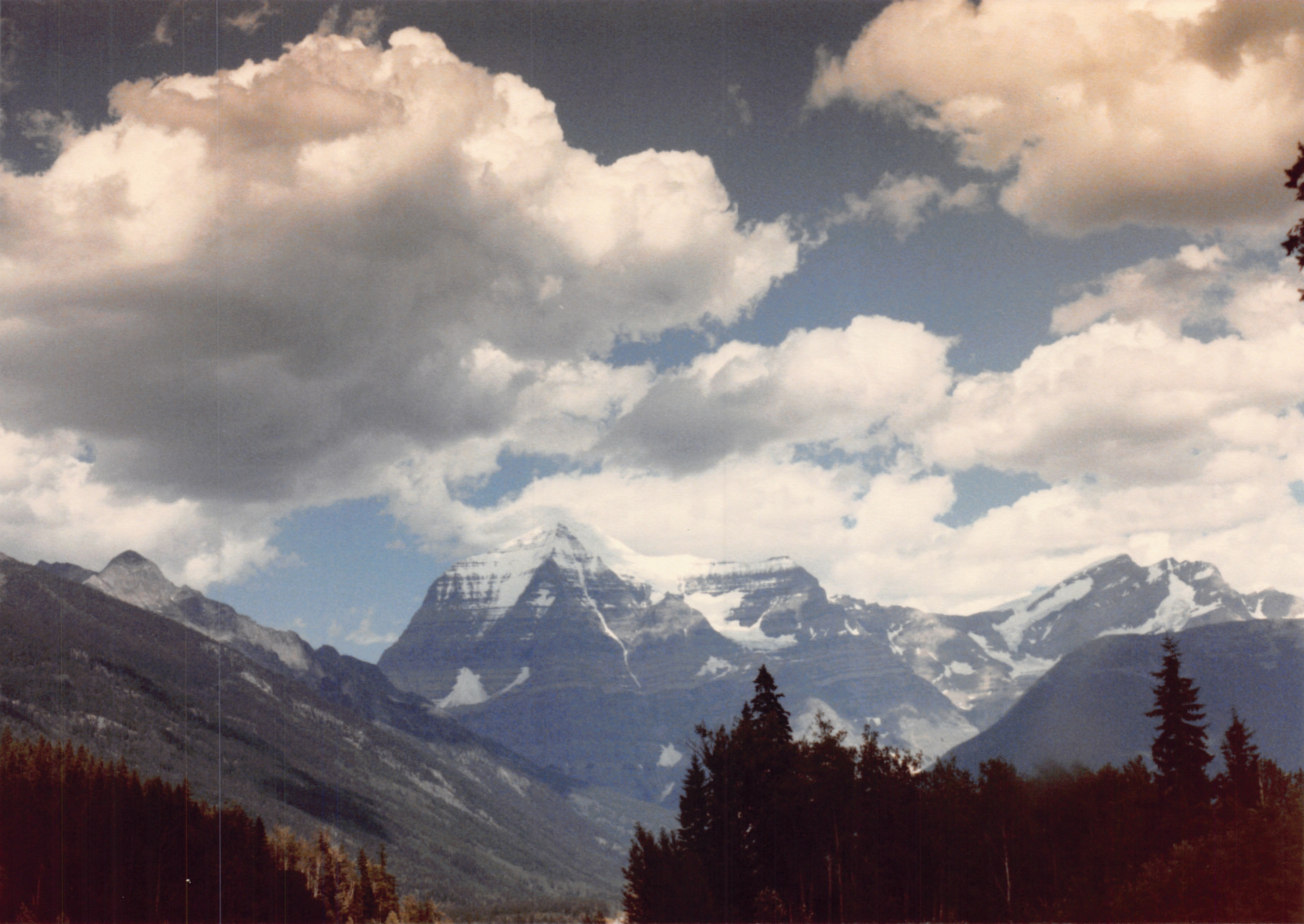 1985b_115.jpg