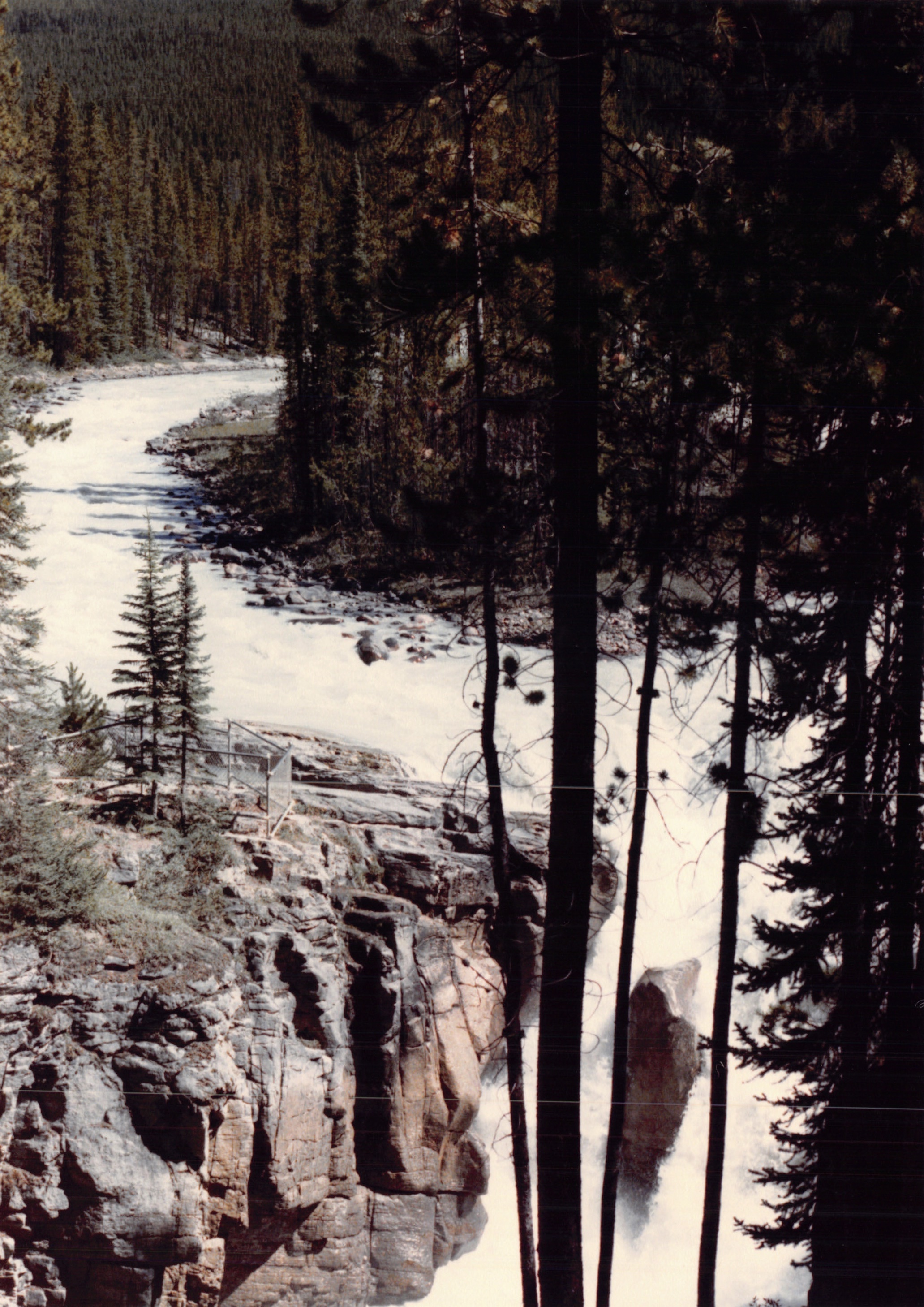 1985b_132.jpg