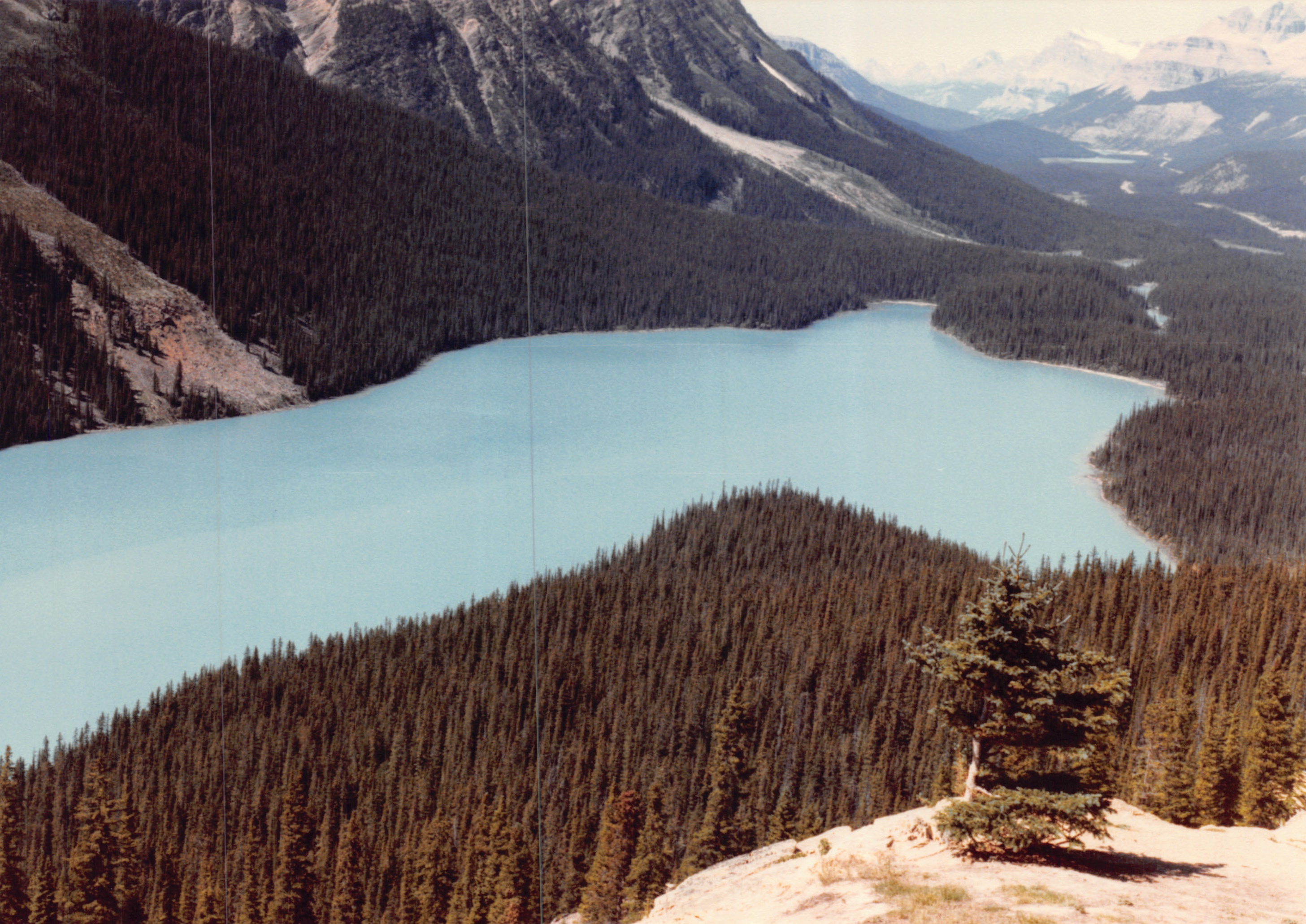 1985b_135.jpg
