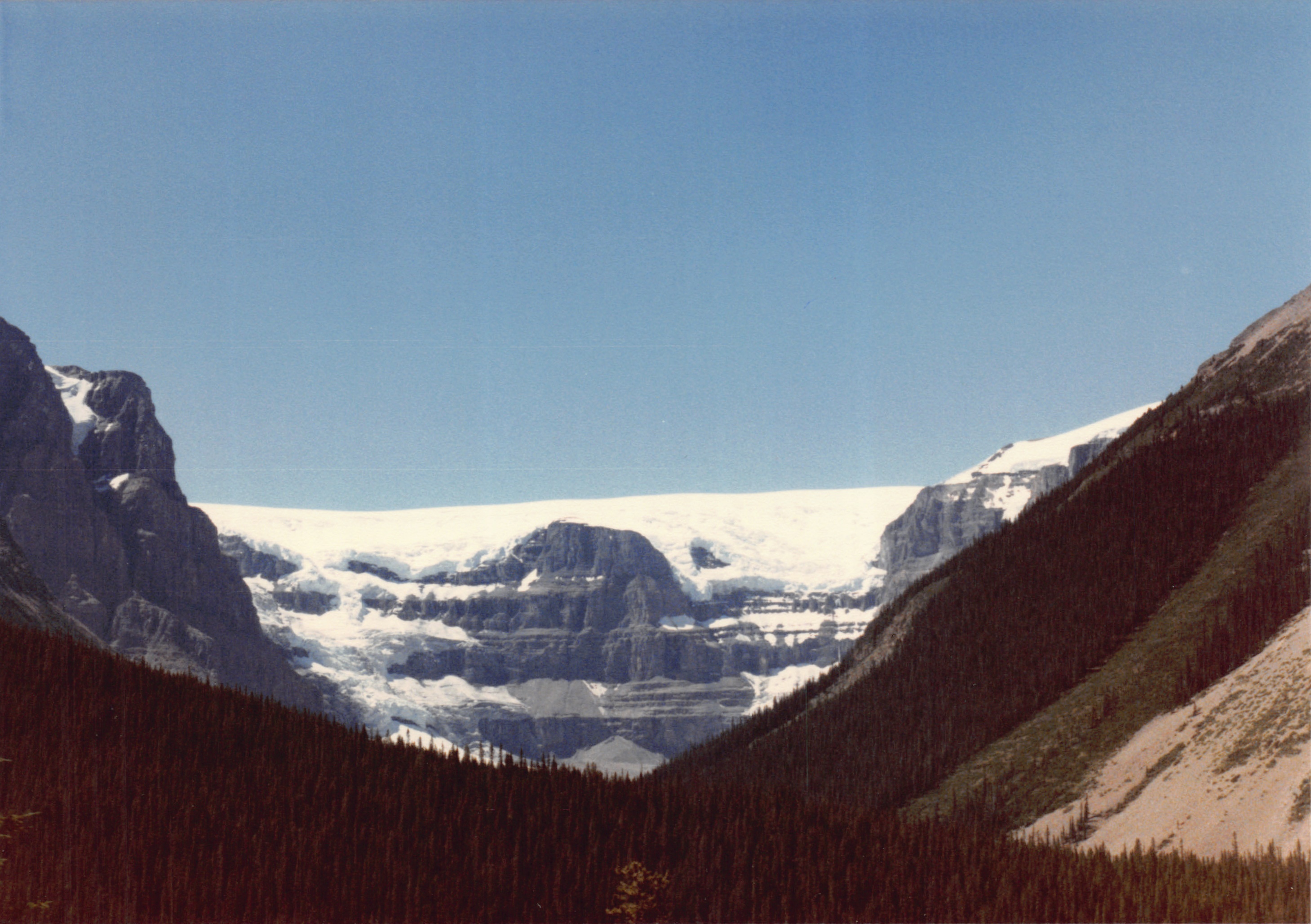 1985b_137f.jpg