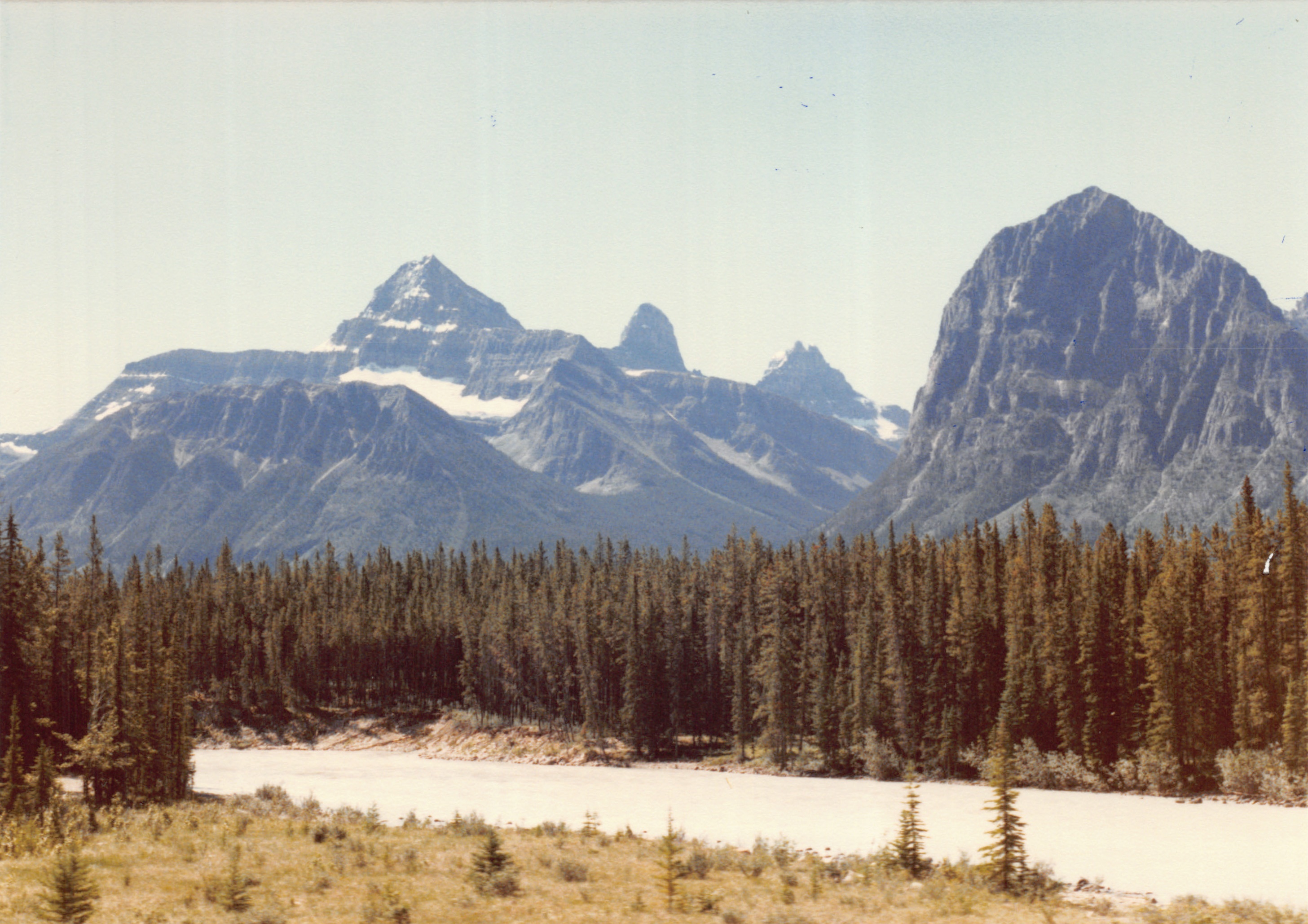 1985b_137h.jpg