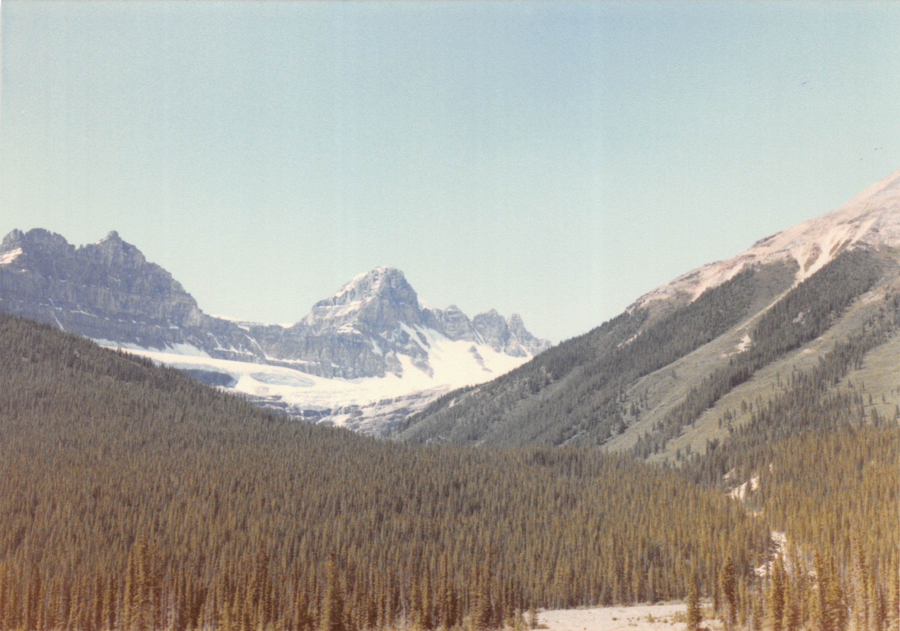 1985b_137i.jpg