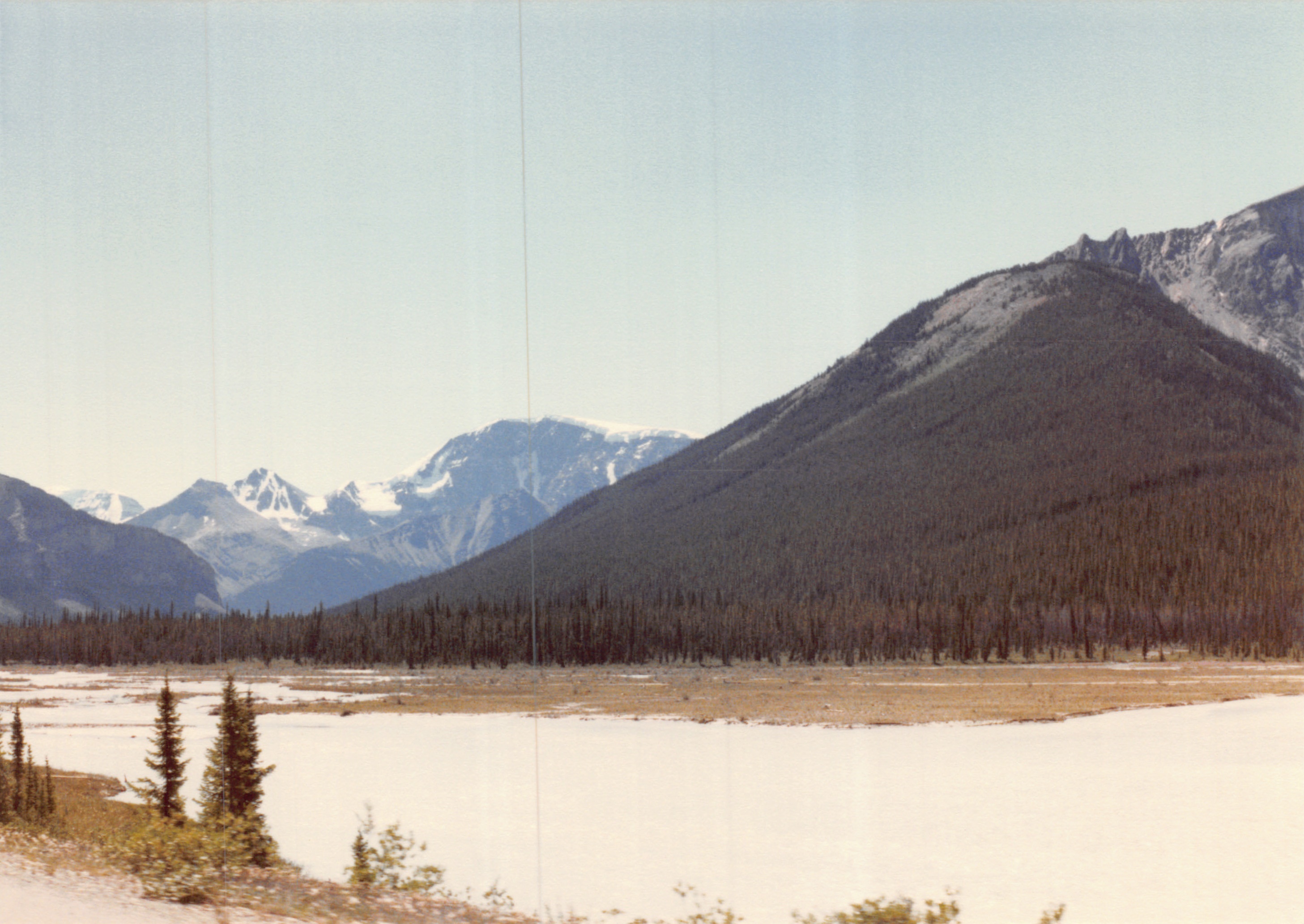 1985b_138.jpg