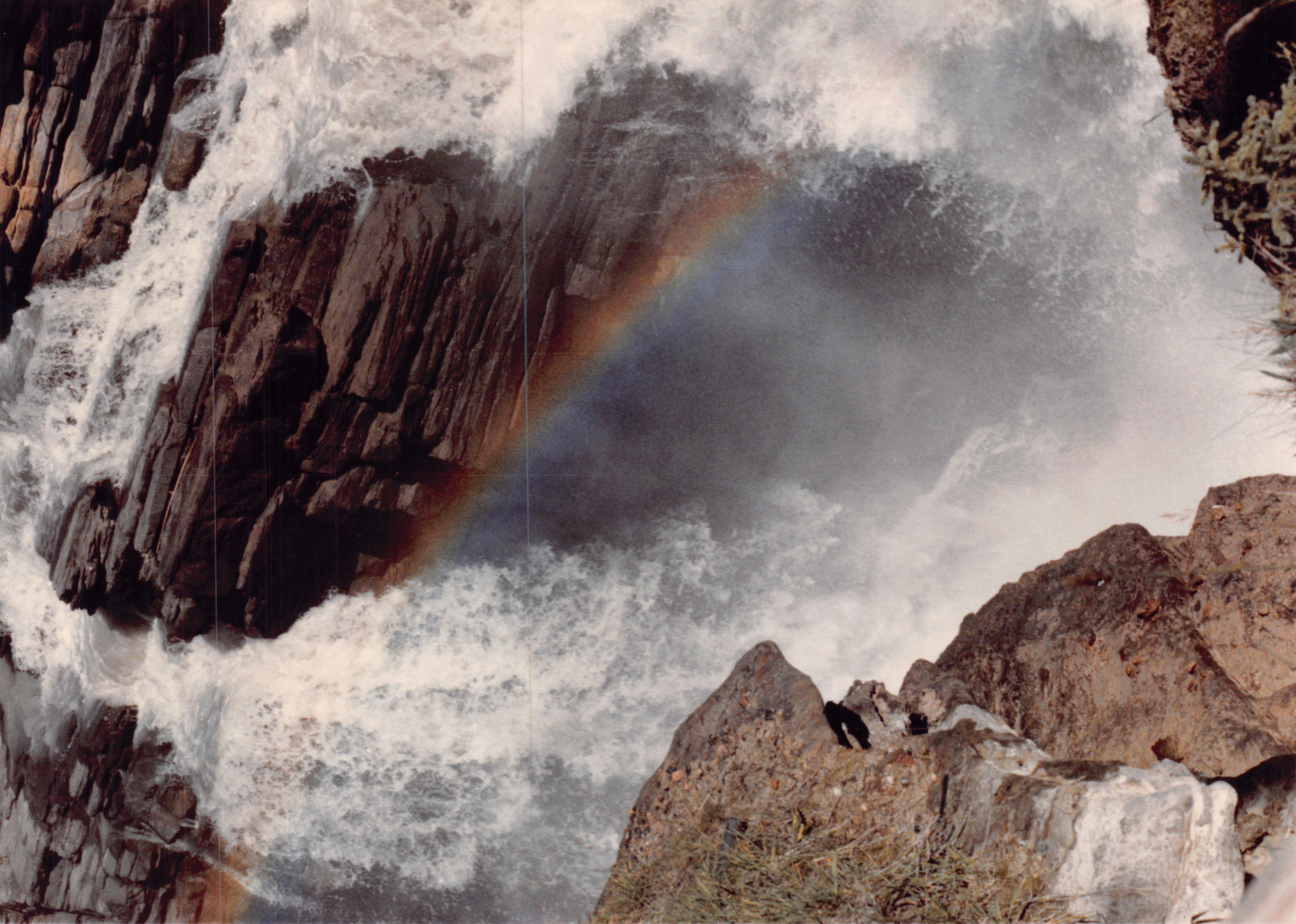 1985b_139.jpg