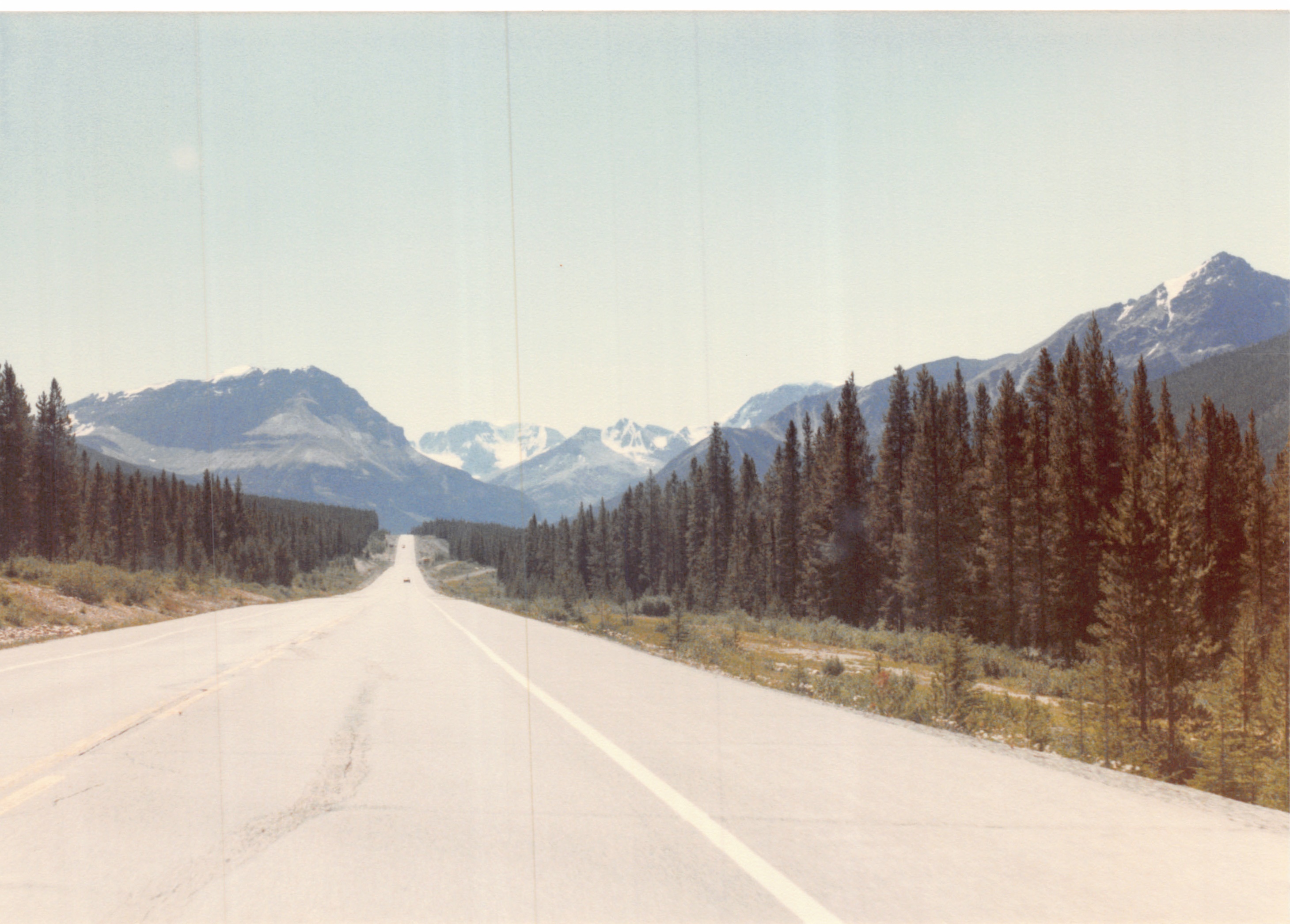 1985b_141.jpg