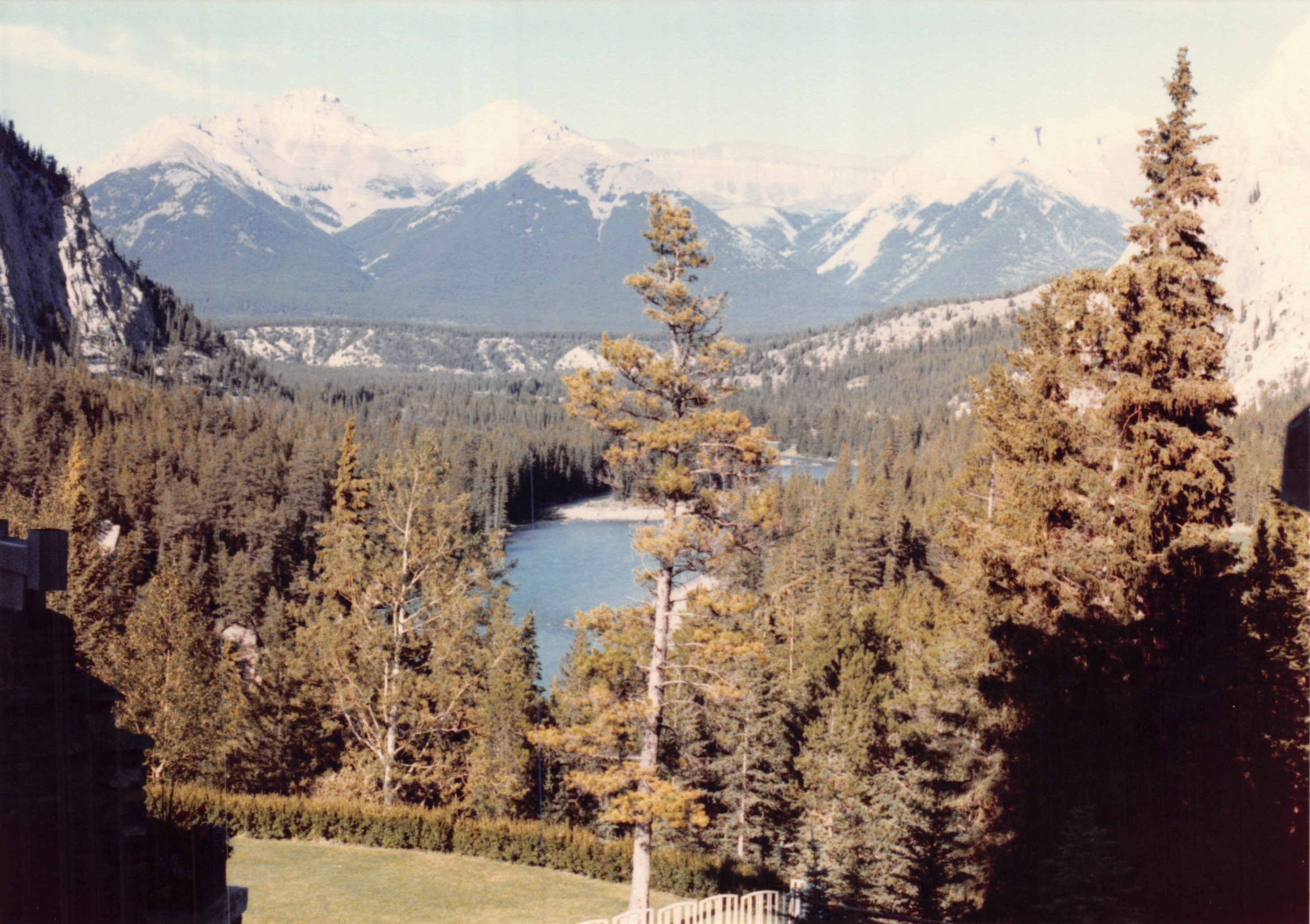 1985b_145.jpg
