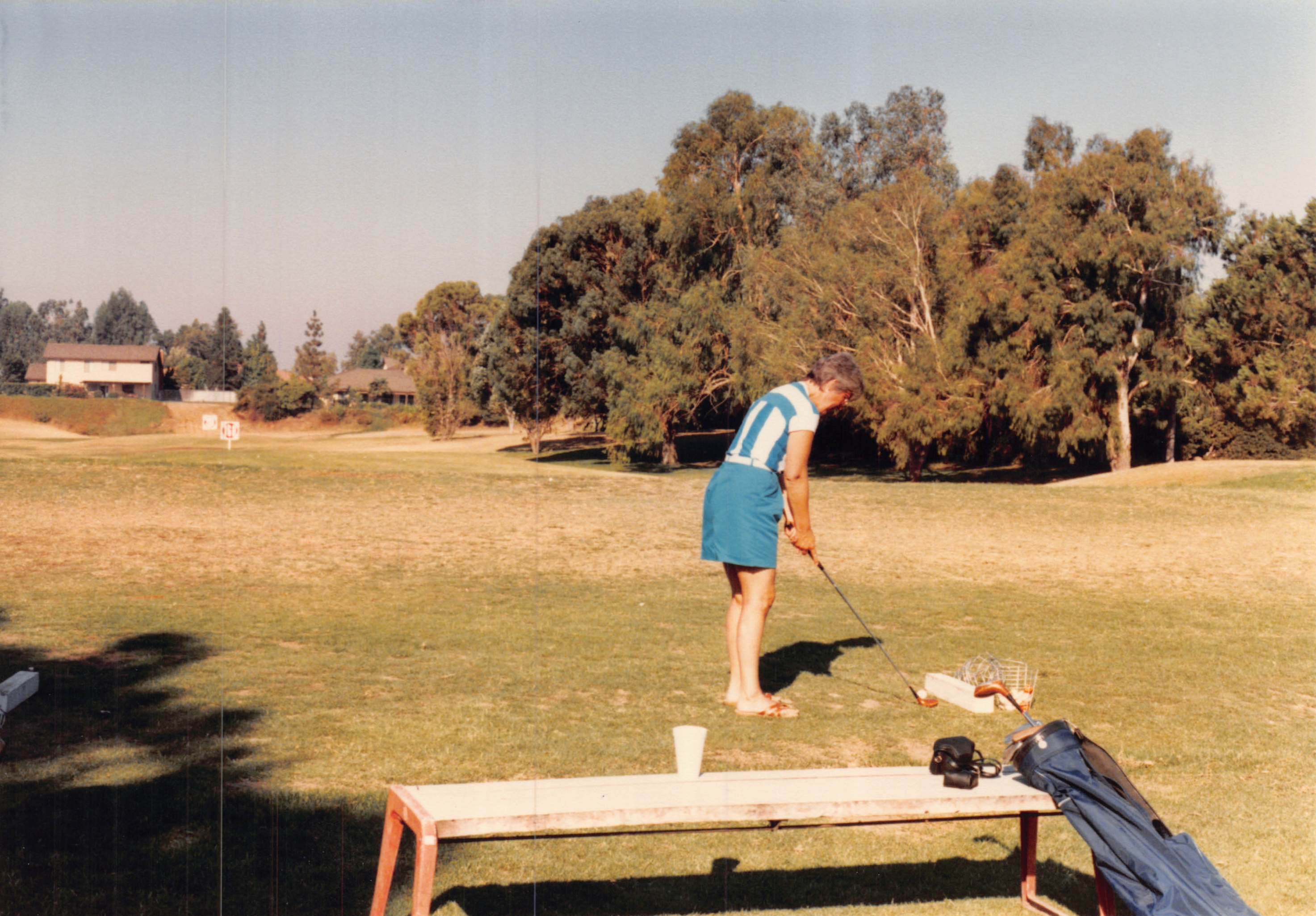 1985b_171.jpg