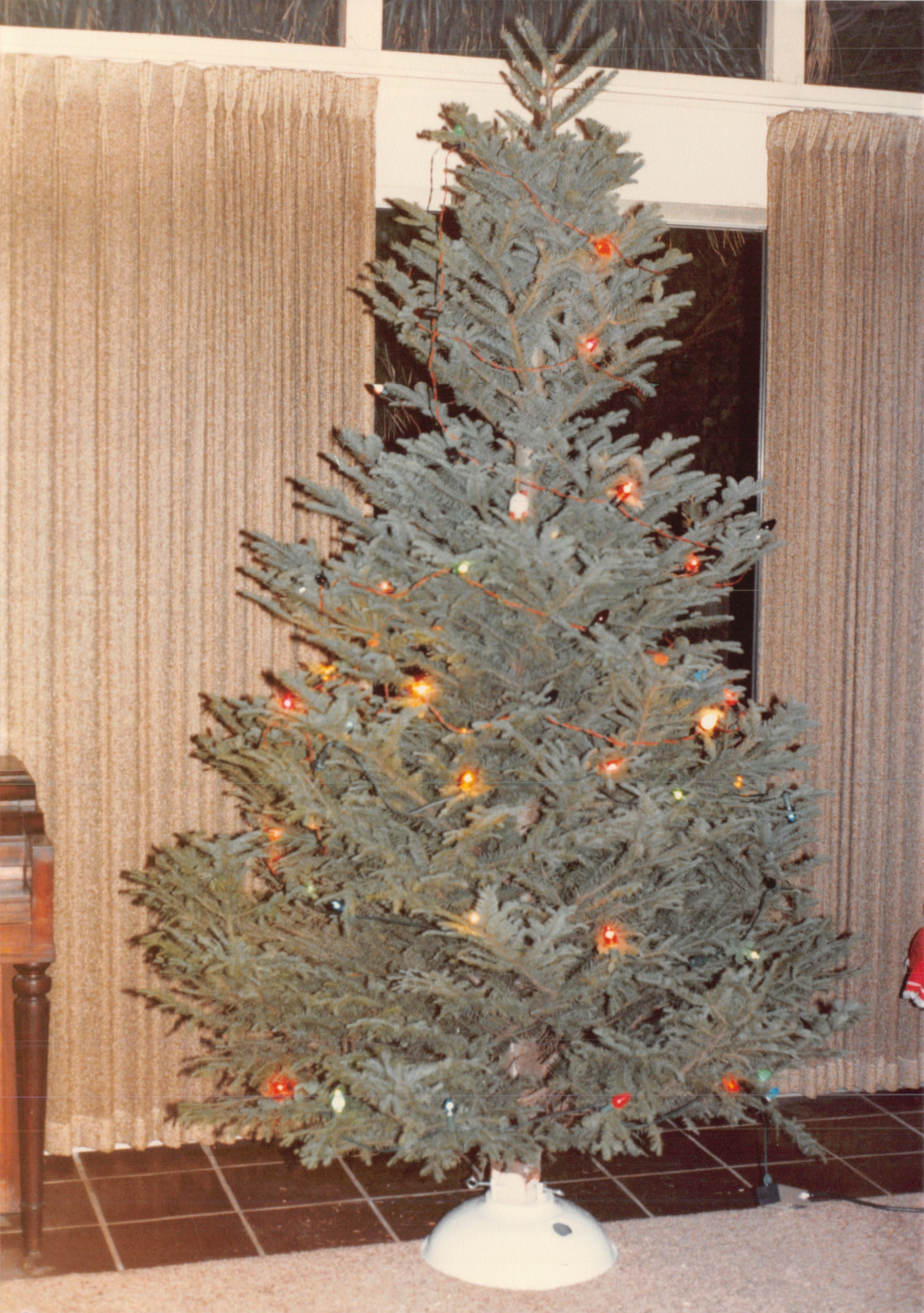 1985b_216.jpg