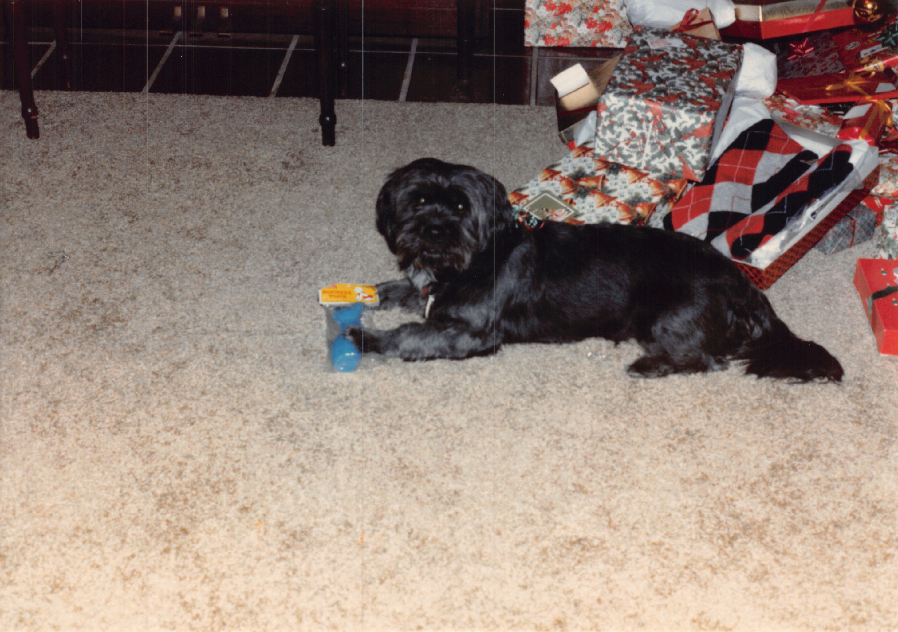 1985b_227.jpg