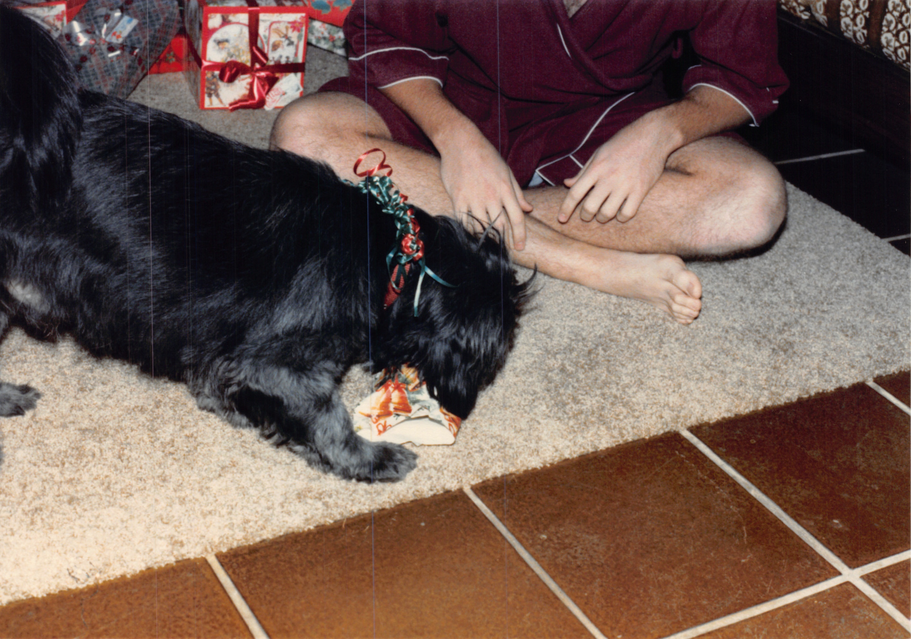 1985b_233.jpg