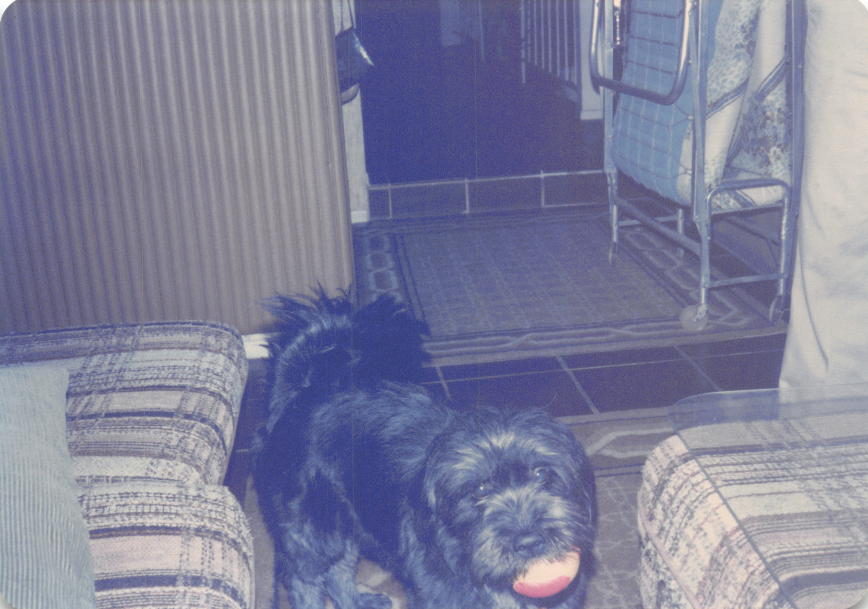 1985b_248.jpg