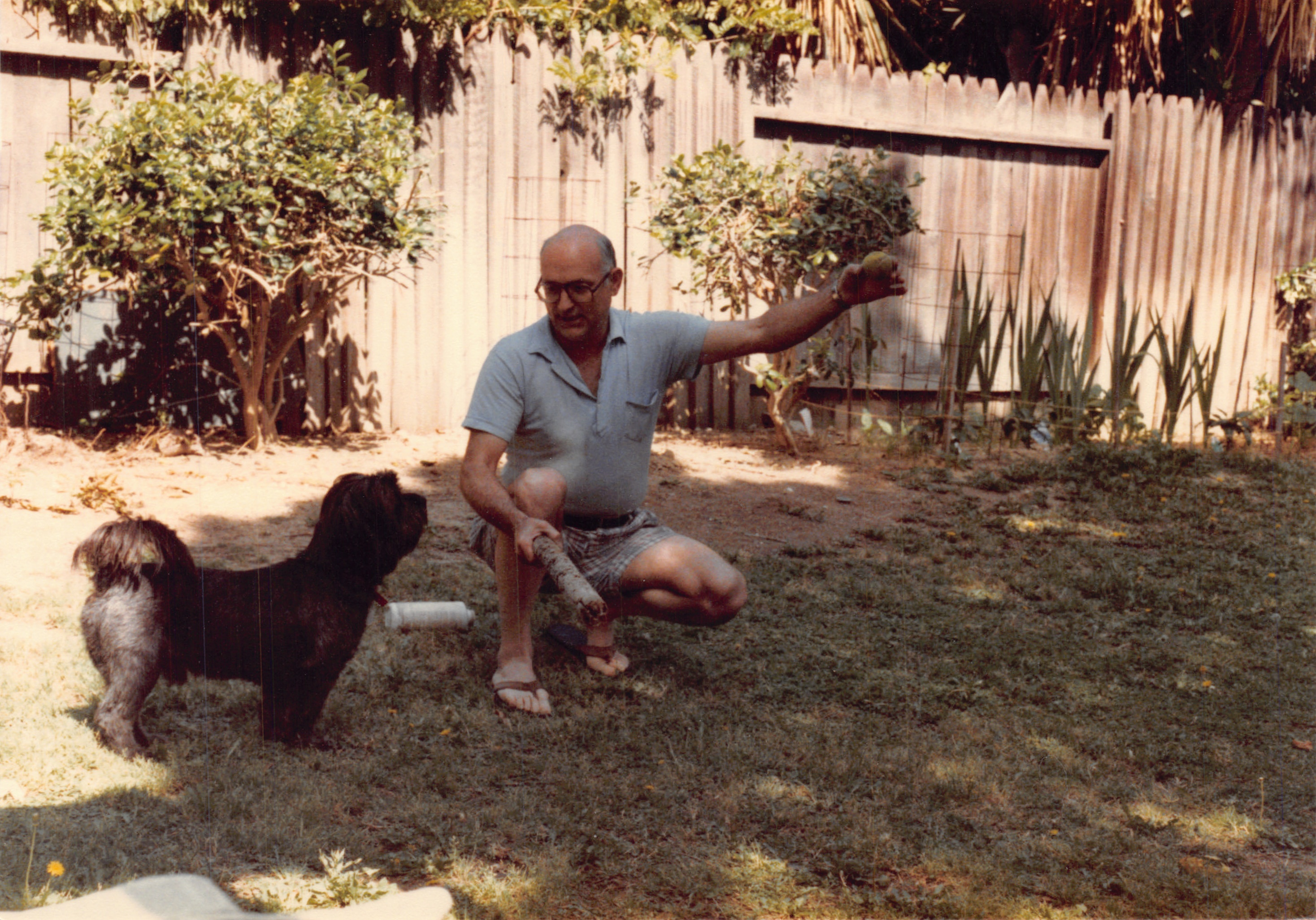 1985misc_290_288.jpg