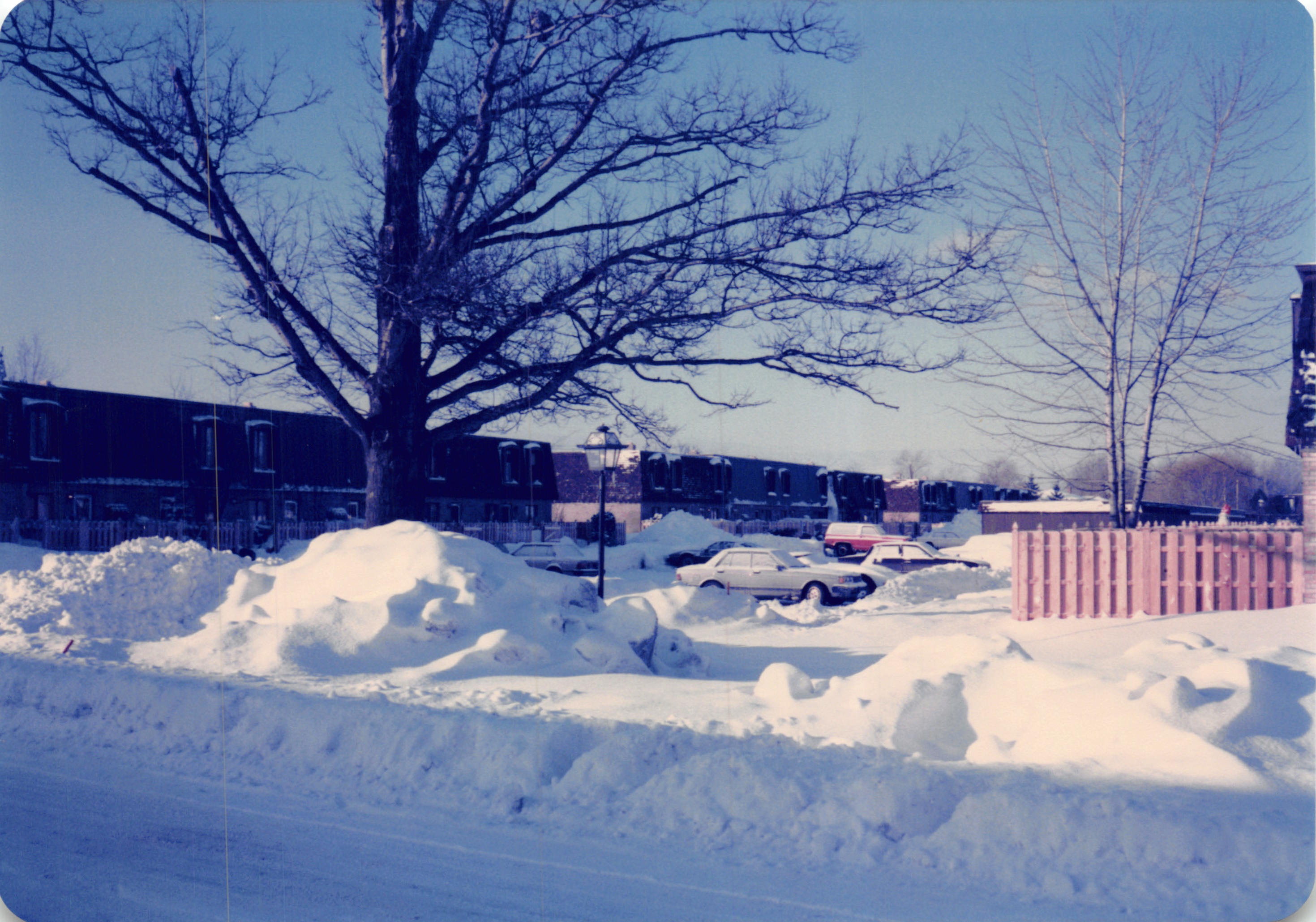 1985misc_310.jpg
