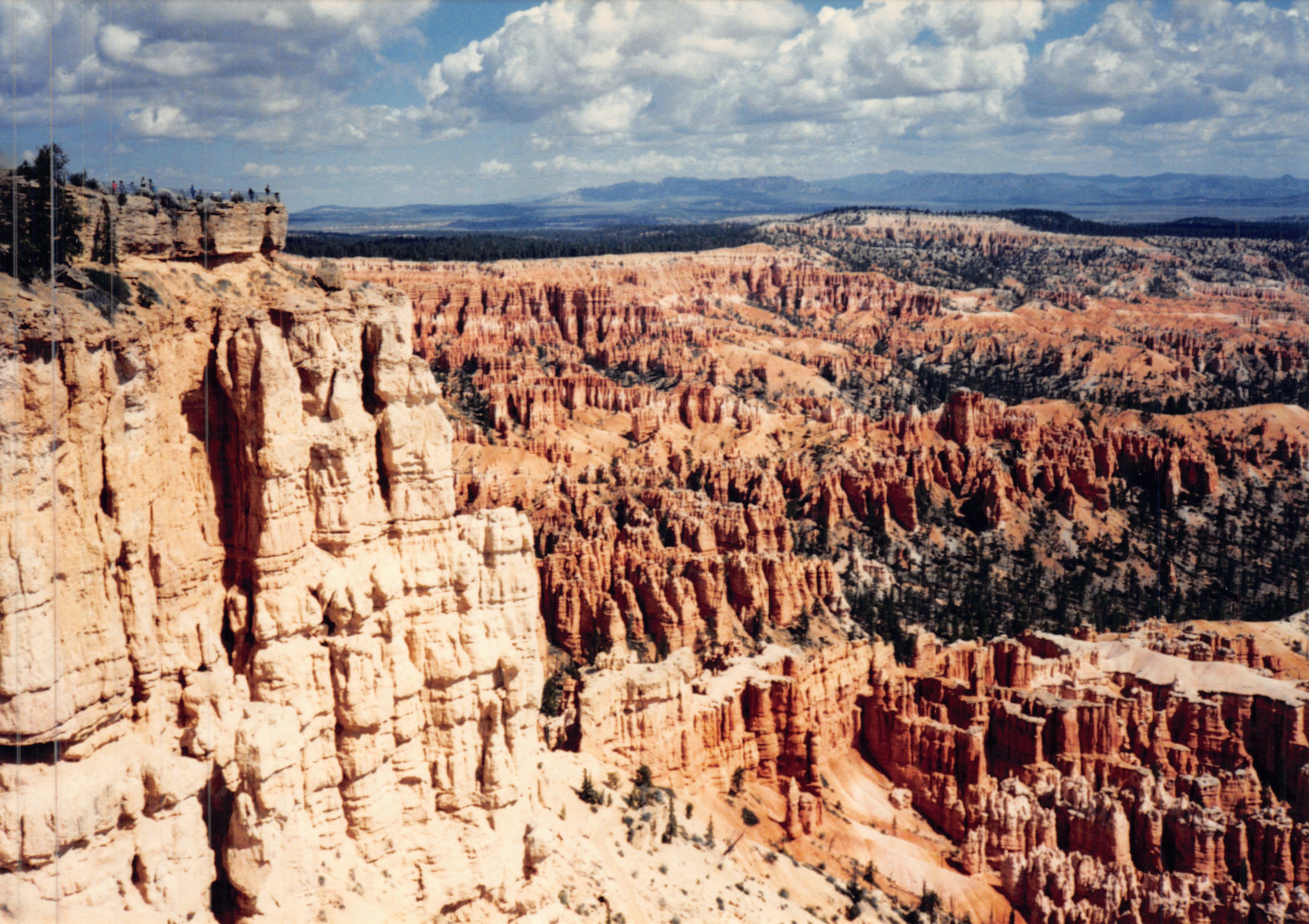 1987c_005.jpg