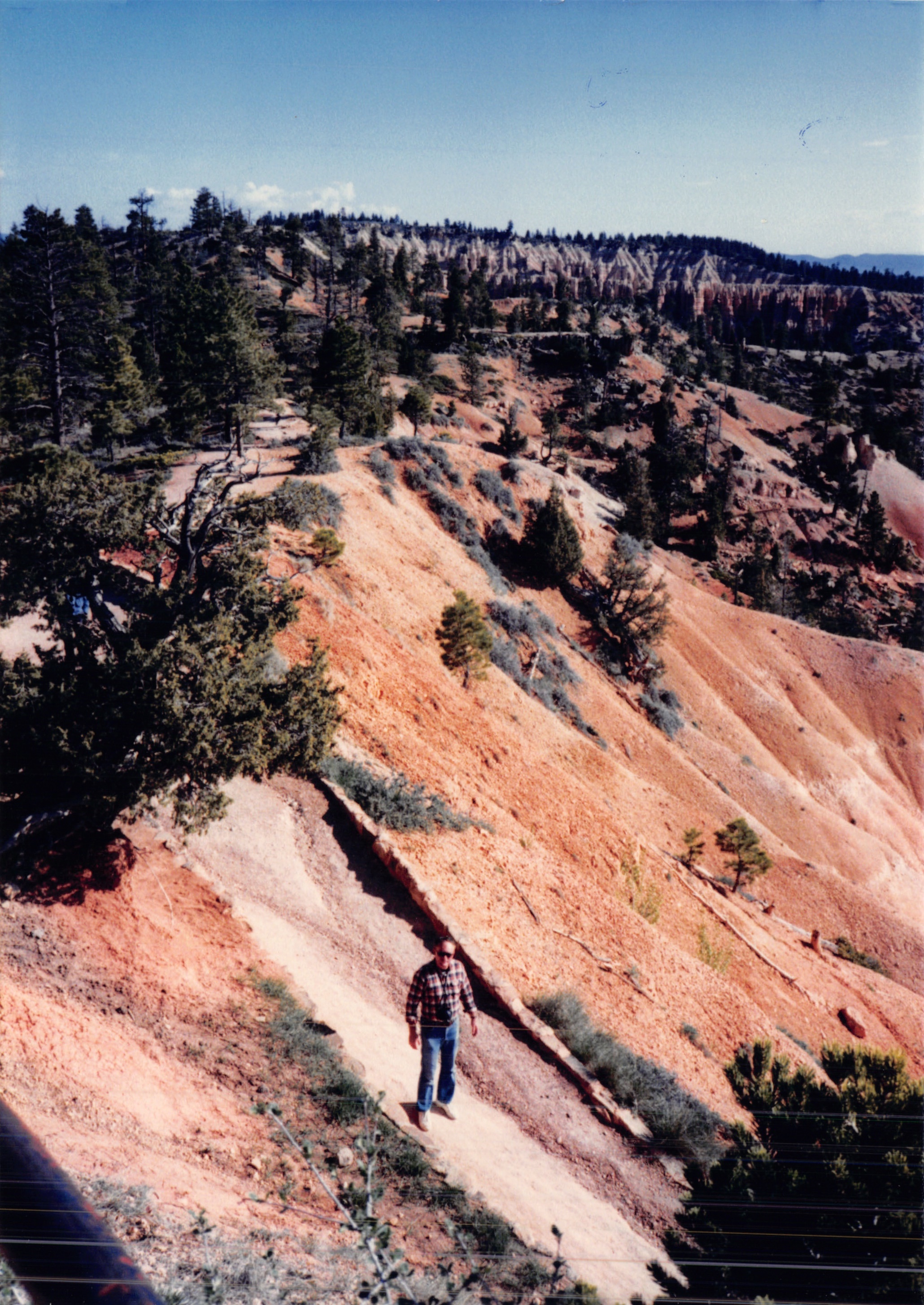1987c_012.jpg