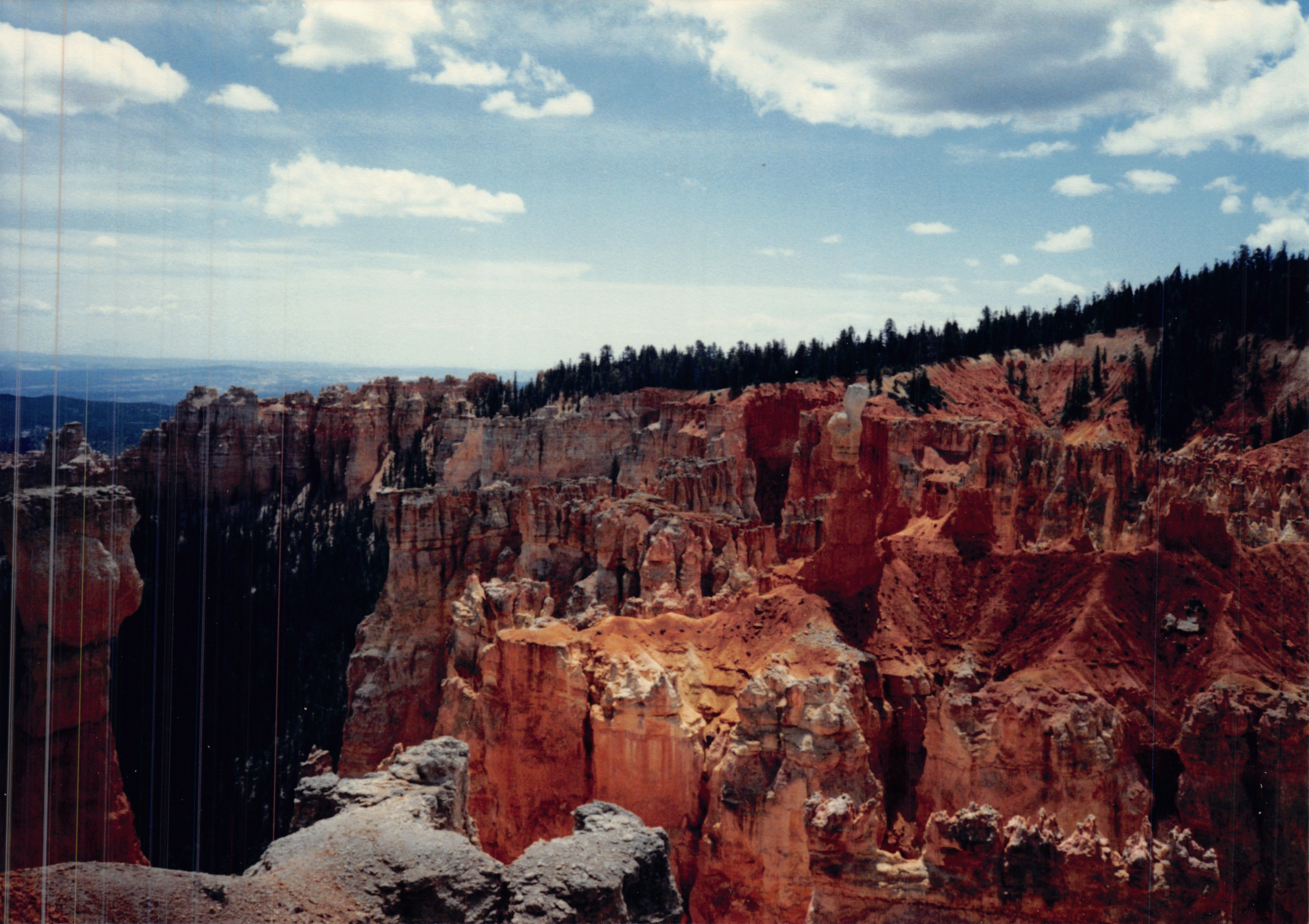 1987c_014.jpg
