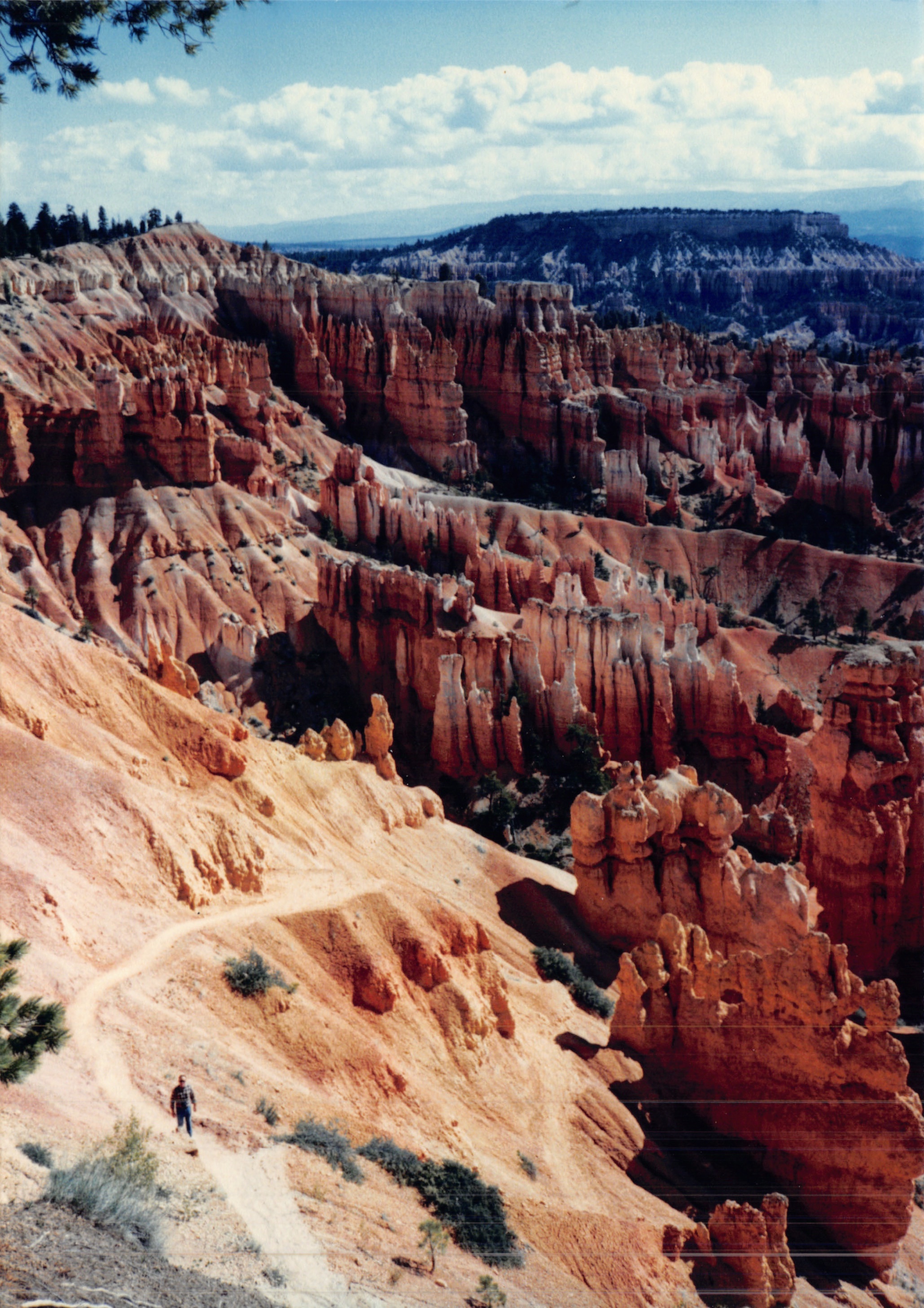 1987c_015.jpg