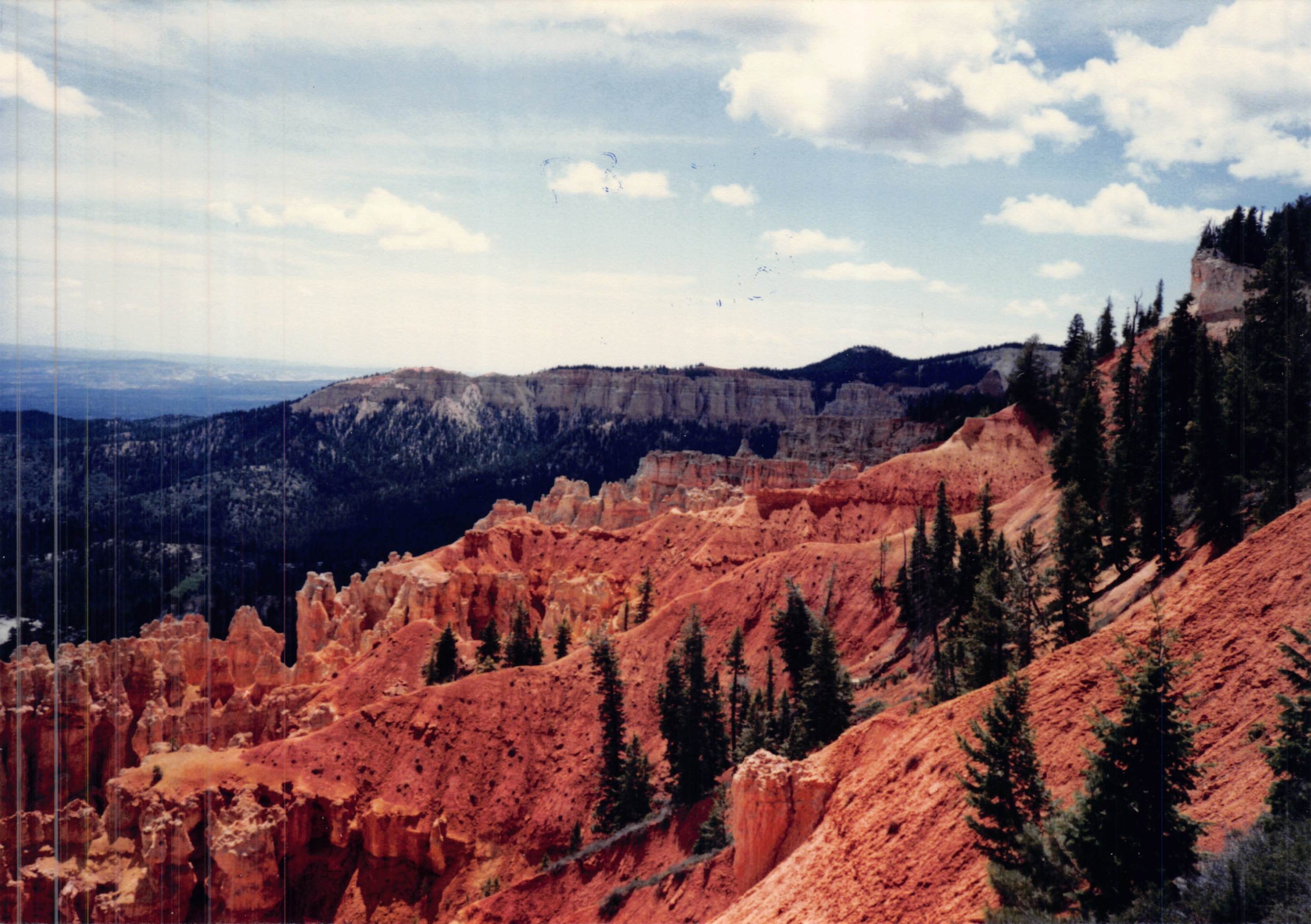 1987c_016.jpg