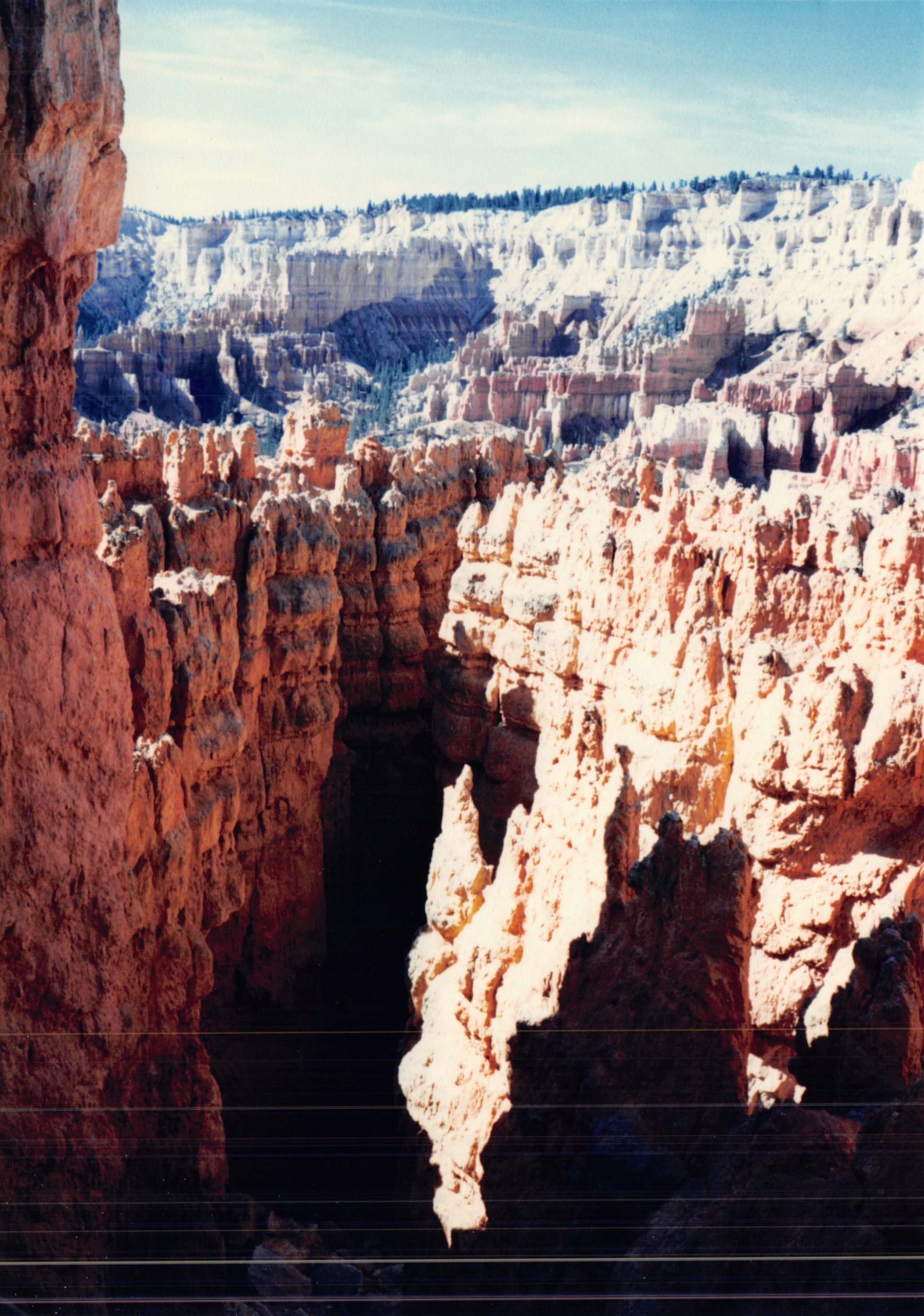1987c_017.jpg