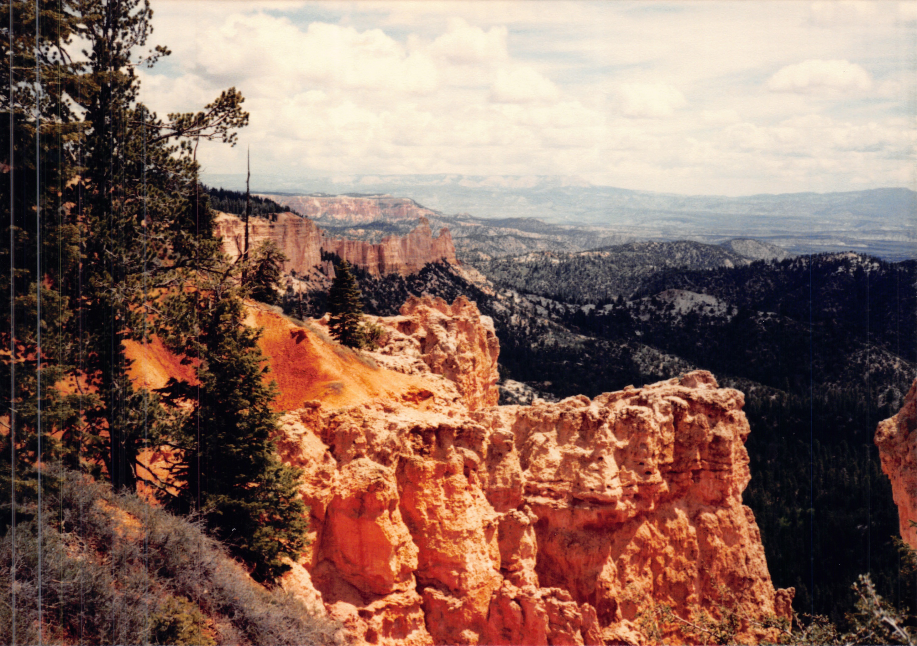1987c_018.jpg
