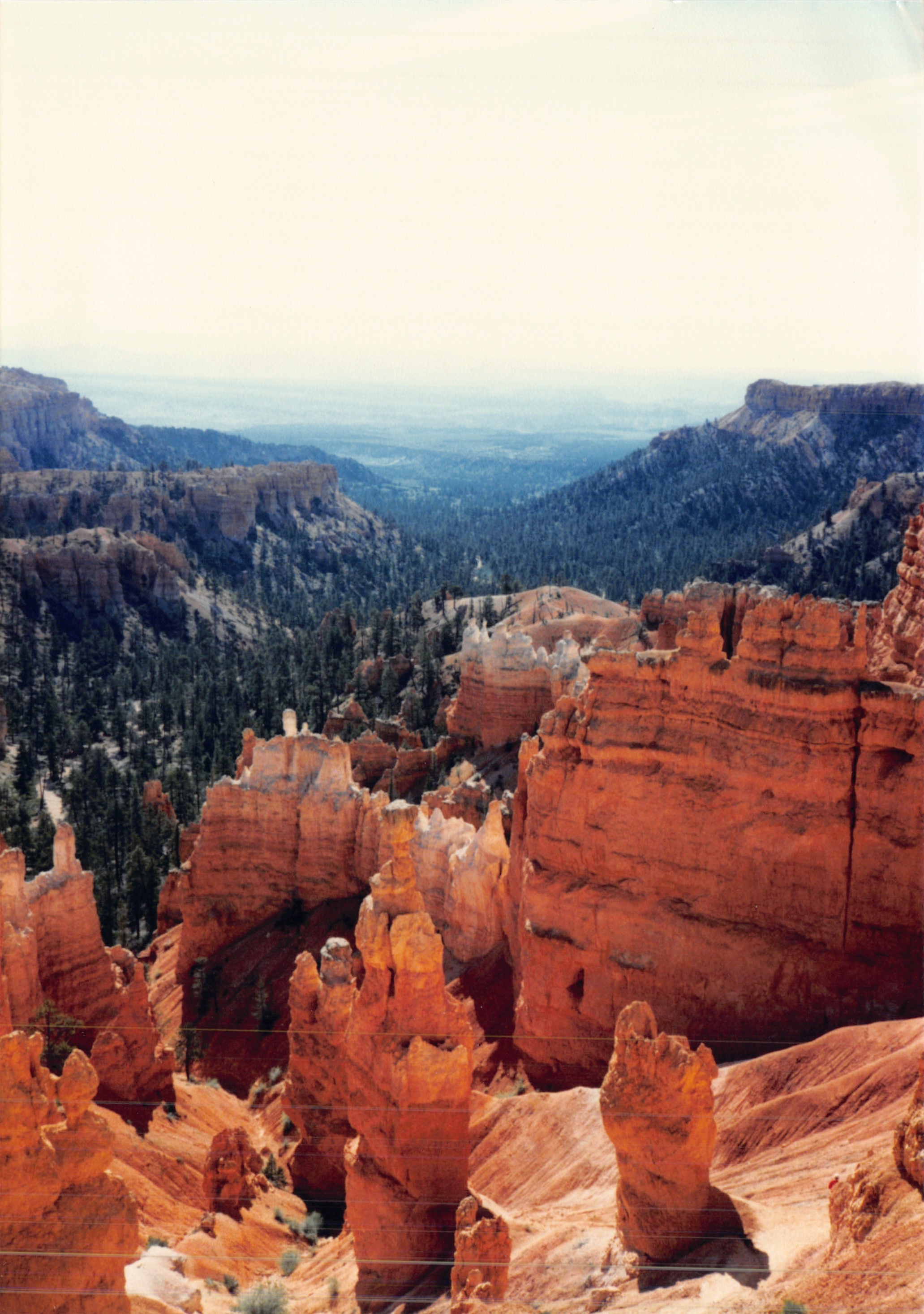 1987c_019.jpg