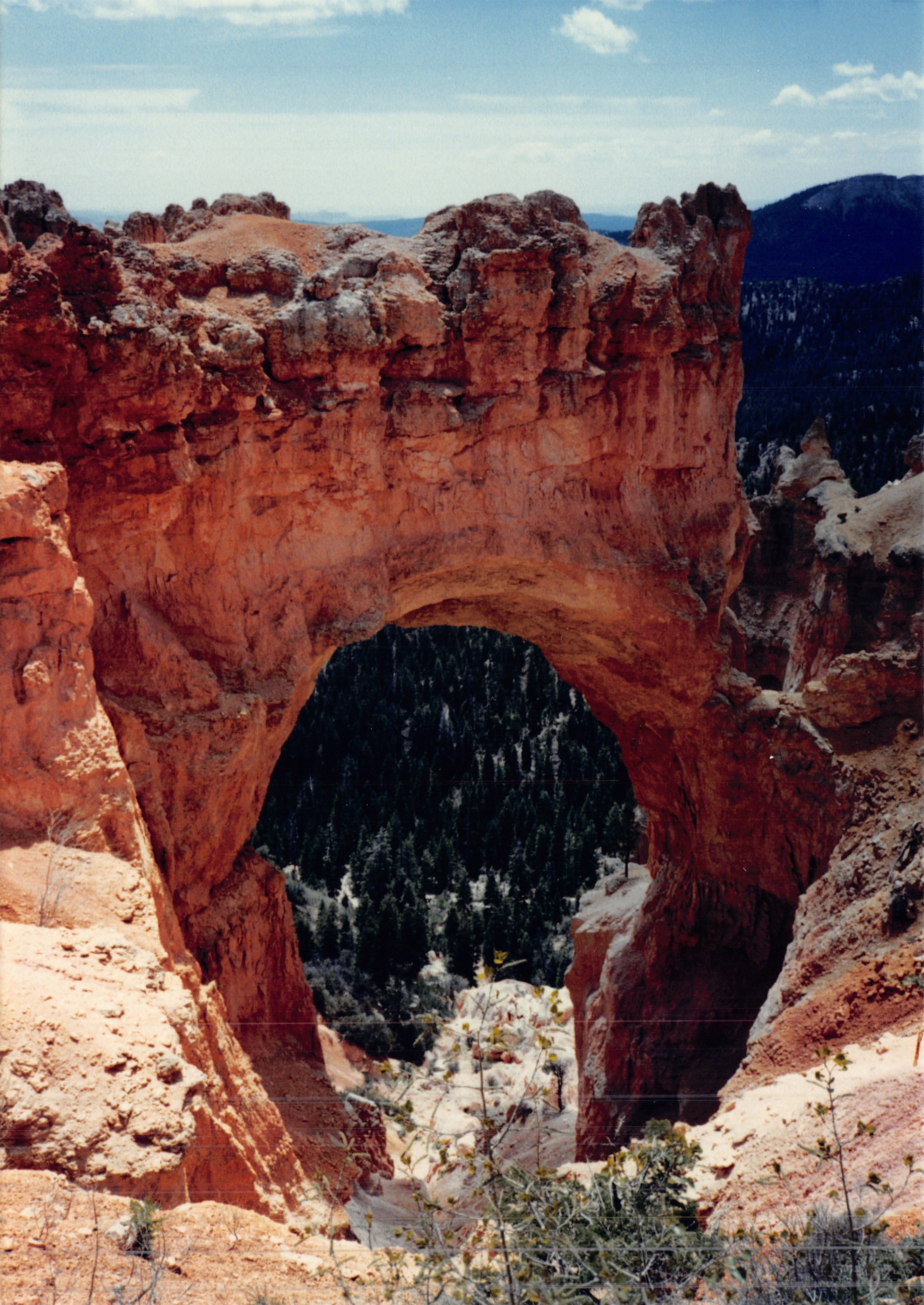 1987c_020.jpg