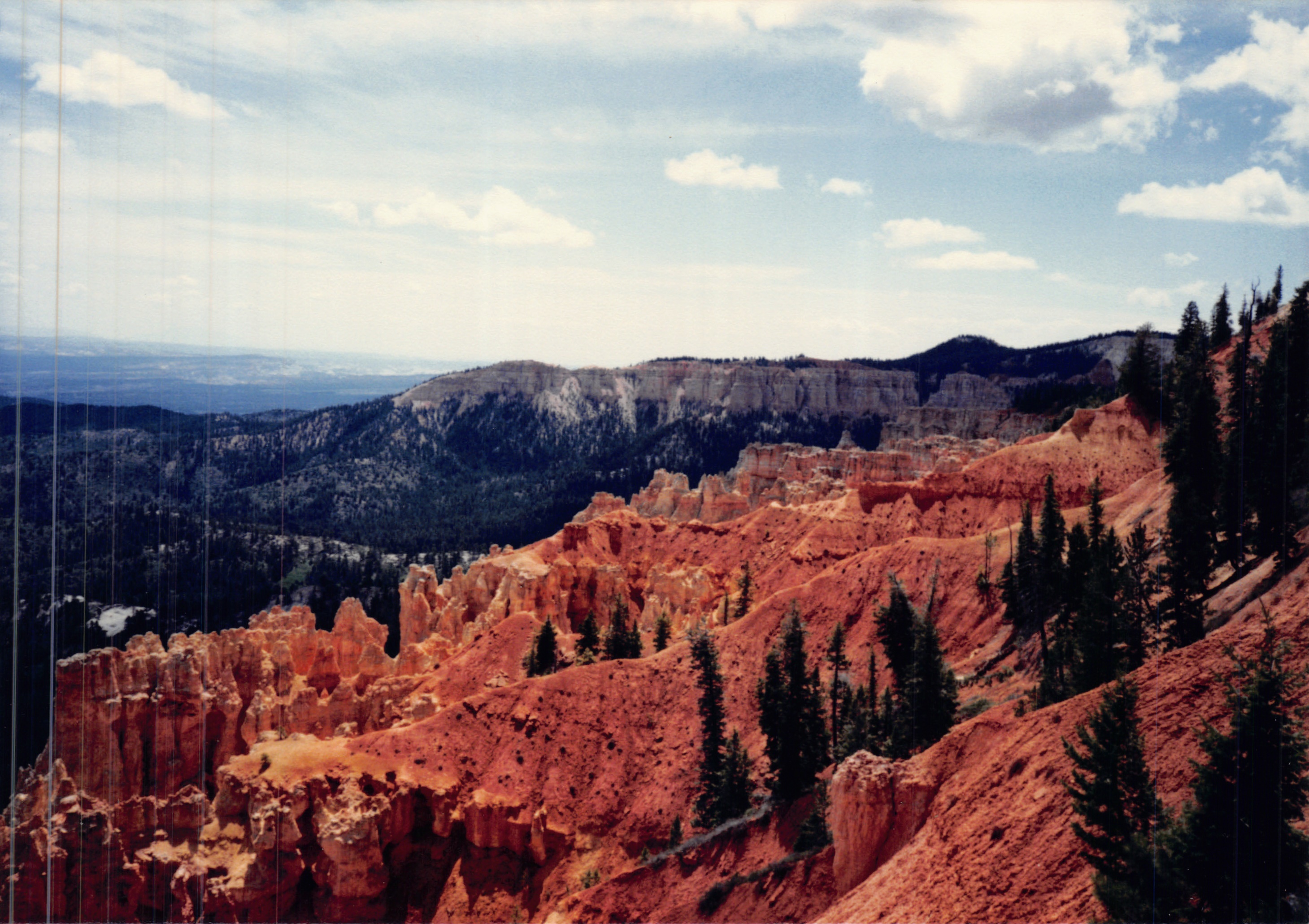 1987c_022.jpg