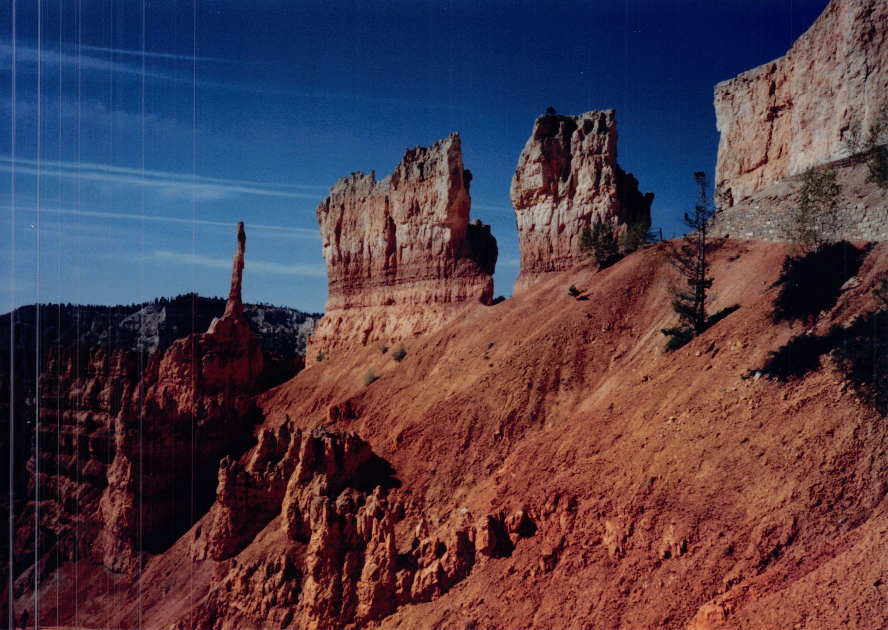 1987c_024.jpg