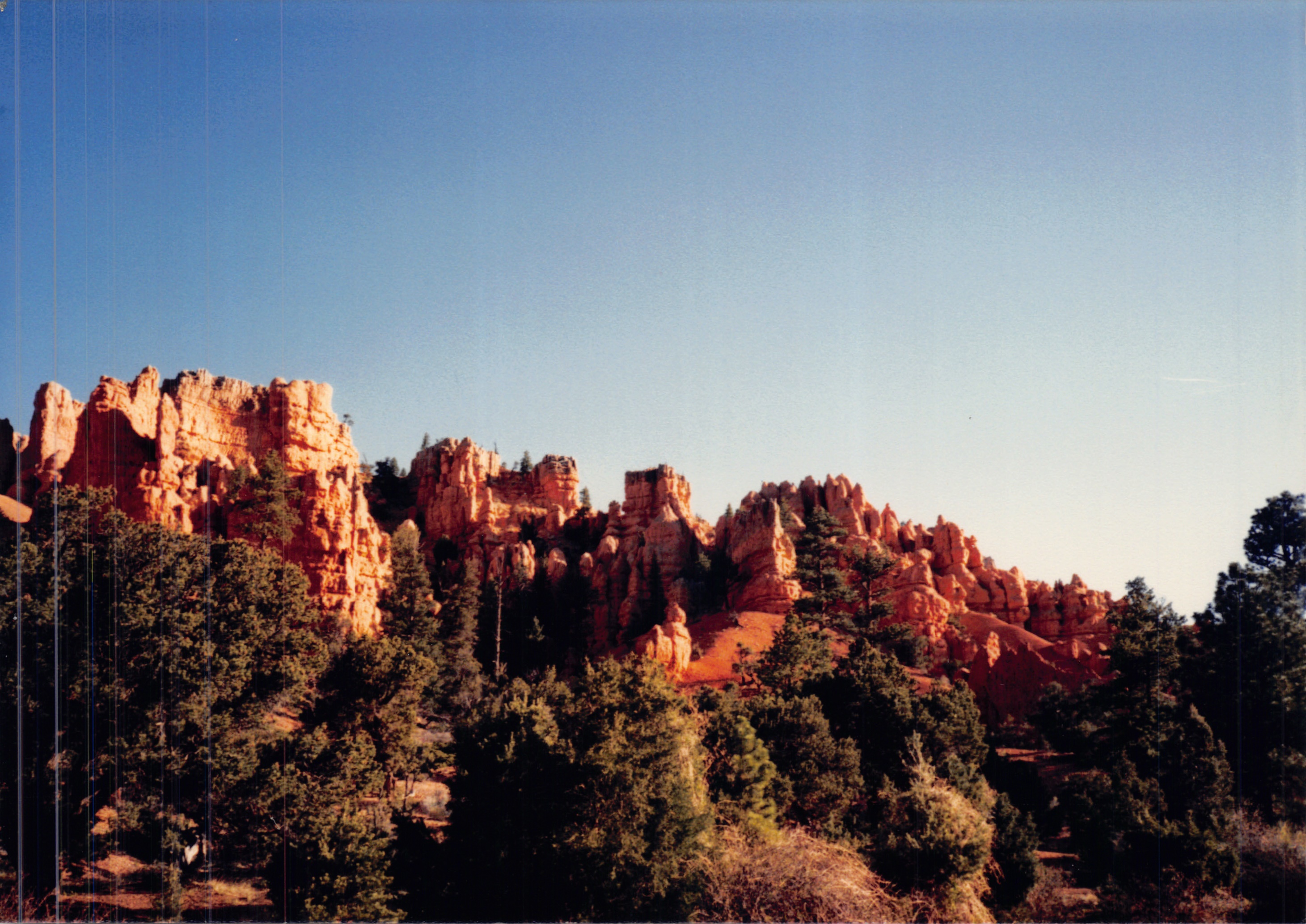 1987c_026.jpg